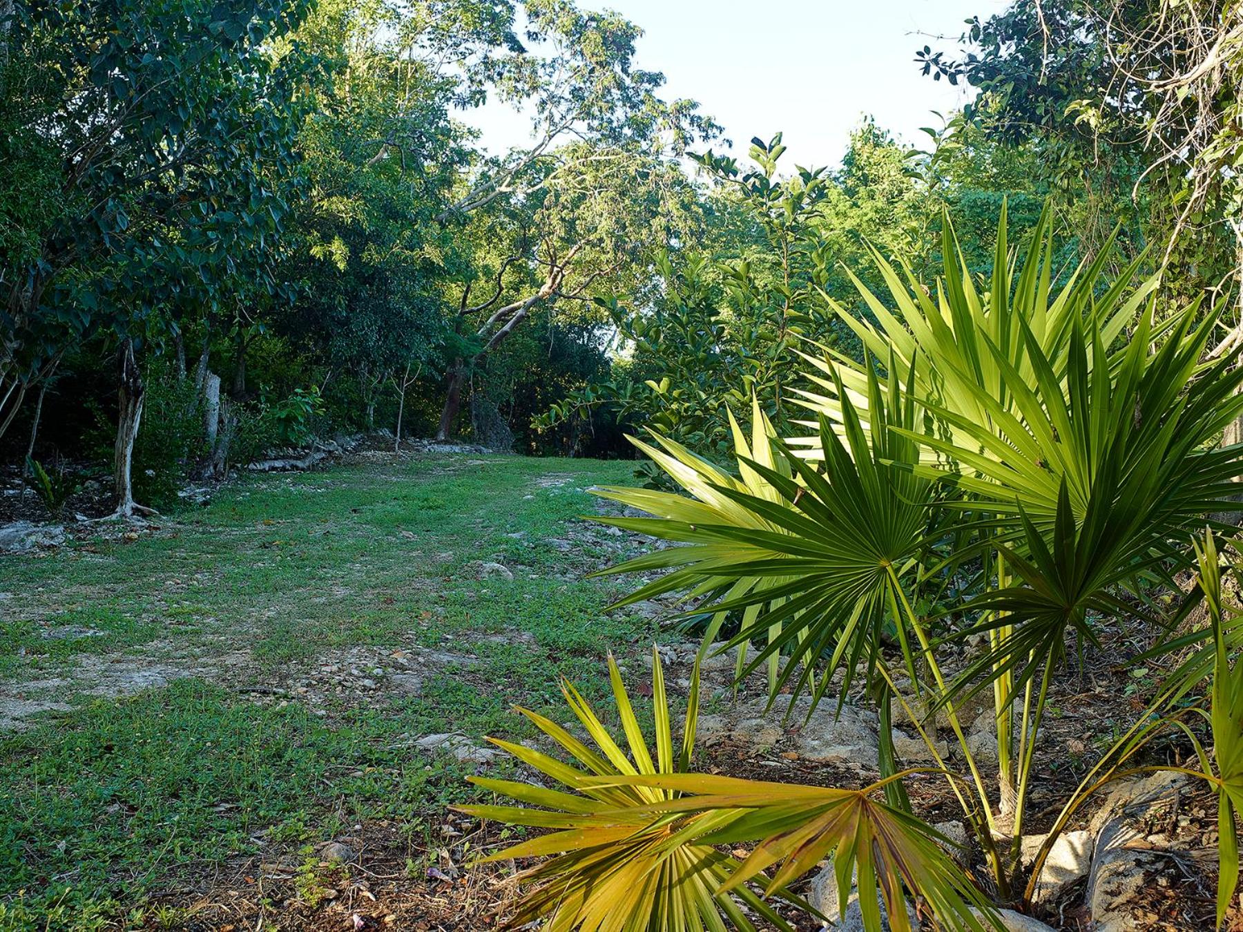 Reserva ecológica Santa Clara