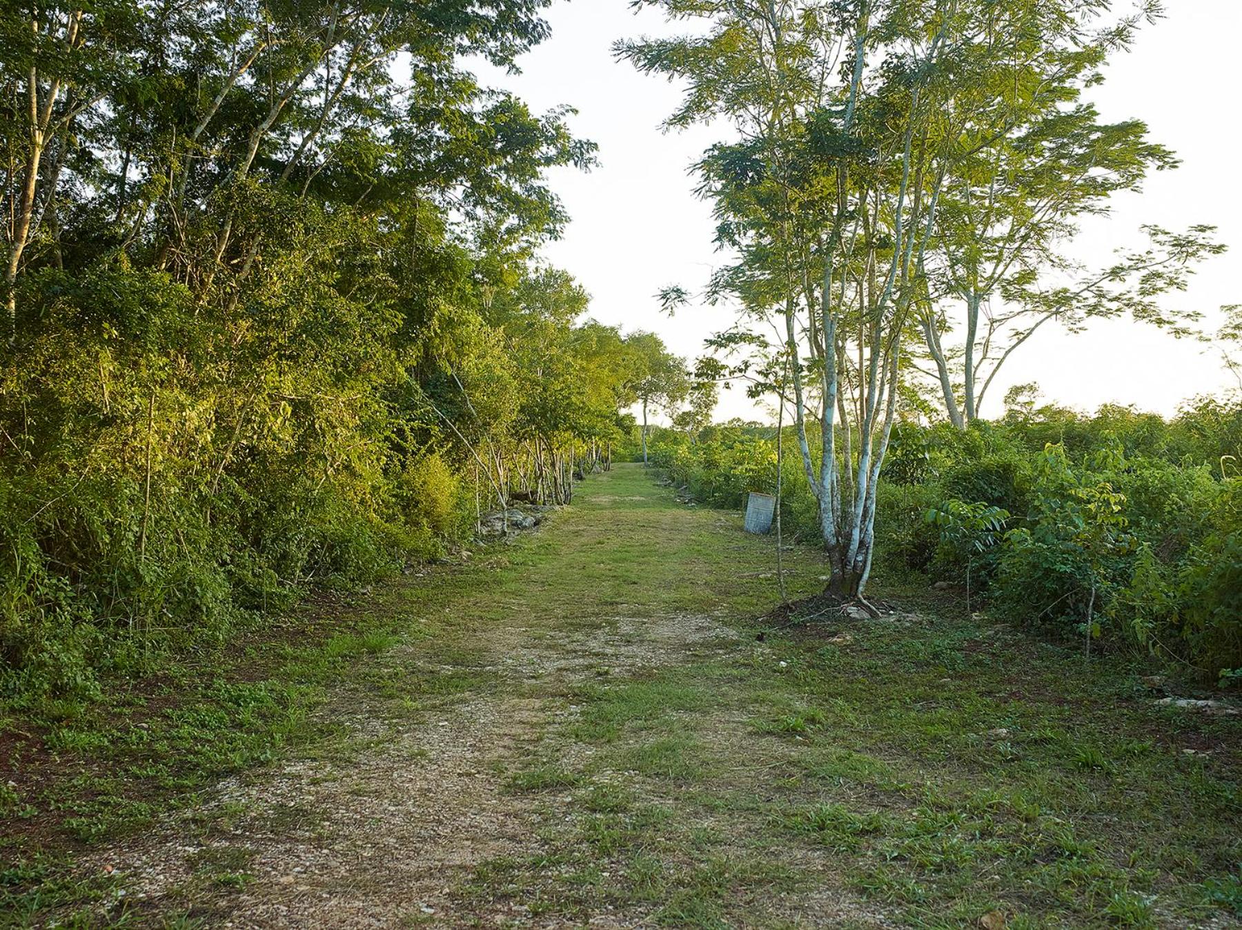 Reserva ecológica Santa Clara