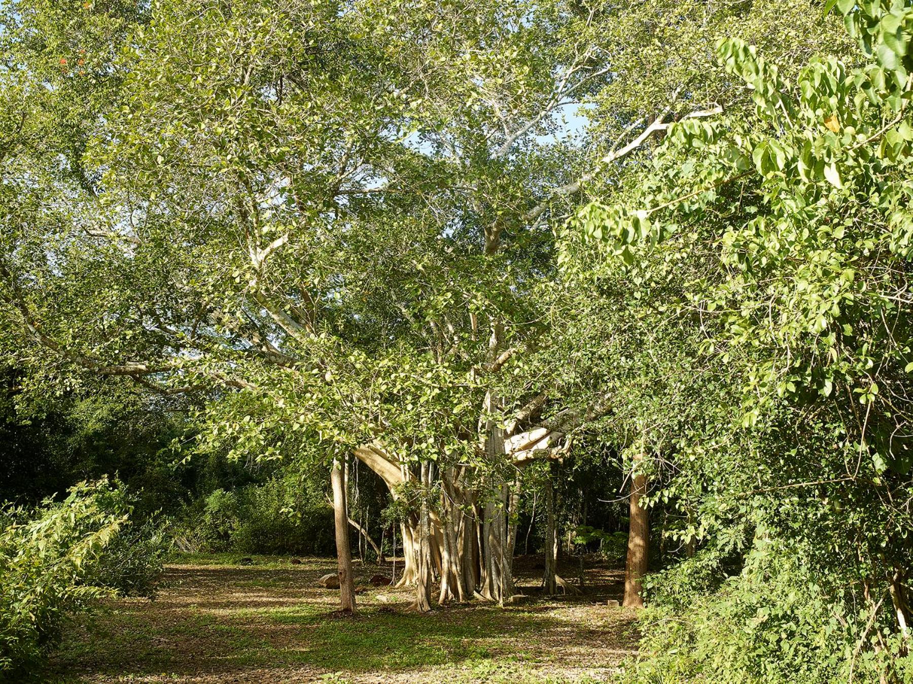 Reserva ecológica Santa Clara
