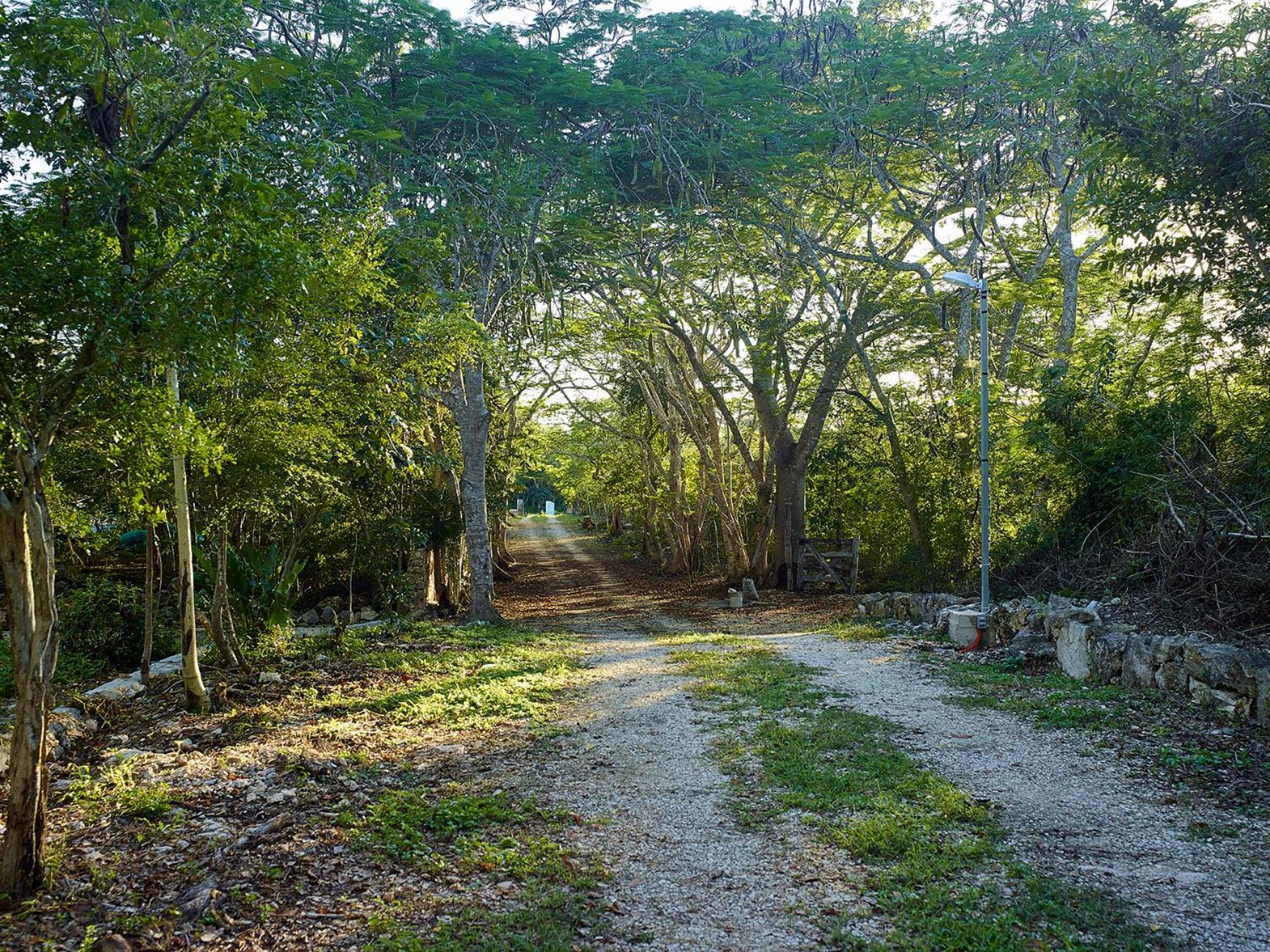 Reserva ecológica Santa Clara