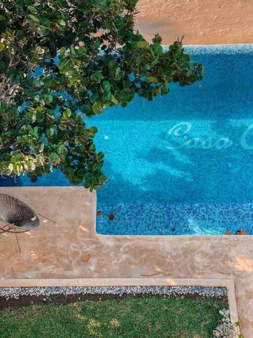 Casa Conti Agua Blanca view 2