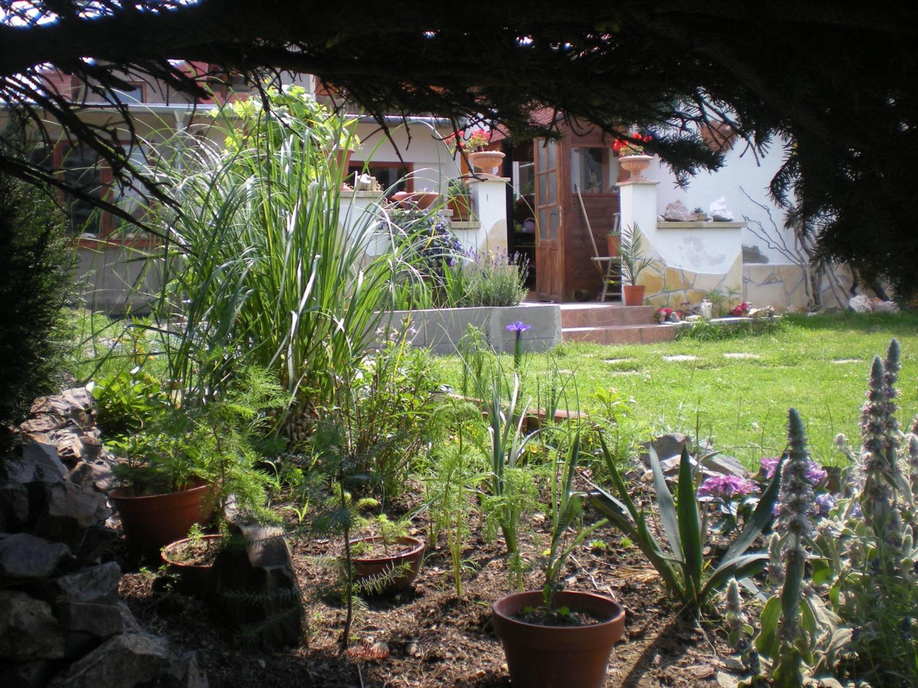 Sophia Cozy Self Catering Apartment