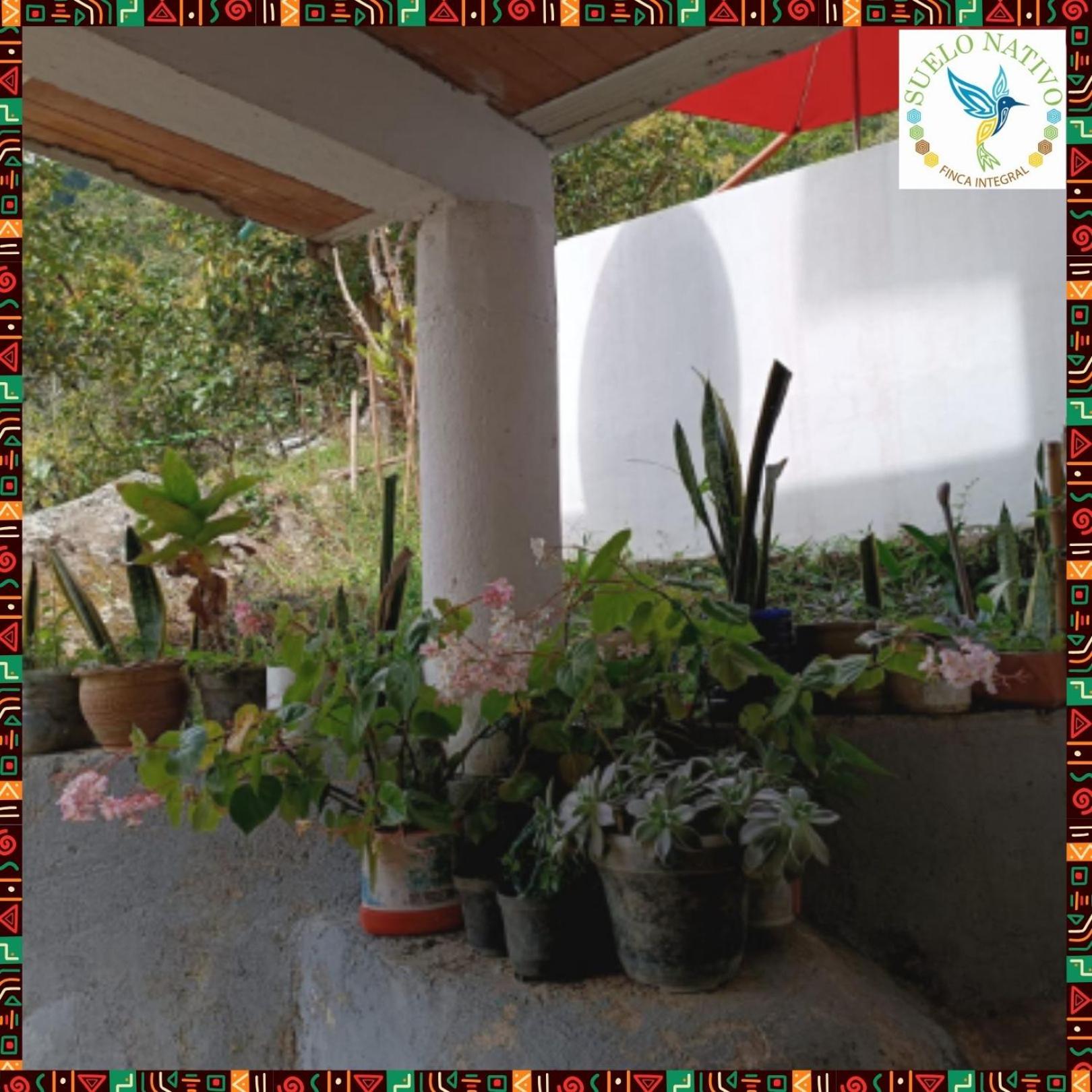 Hotel Finca Integral Suelo Natiivo 
