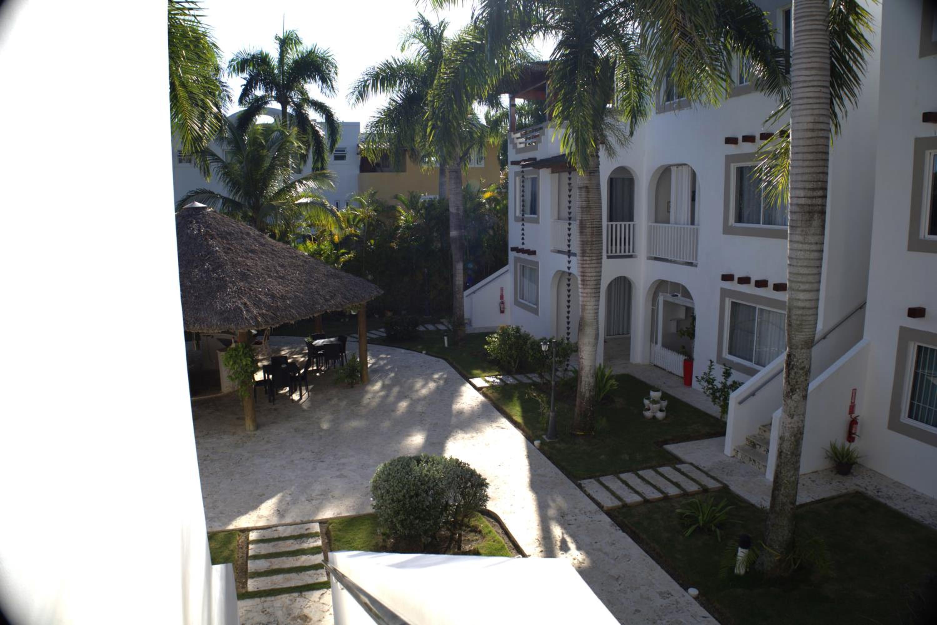 Tamarindo Dominicus by Mireya