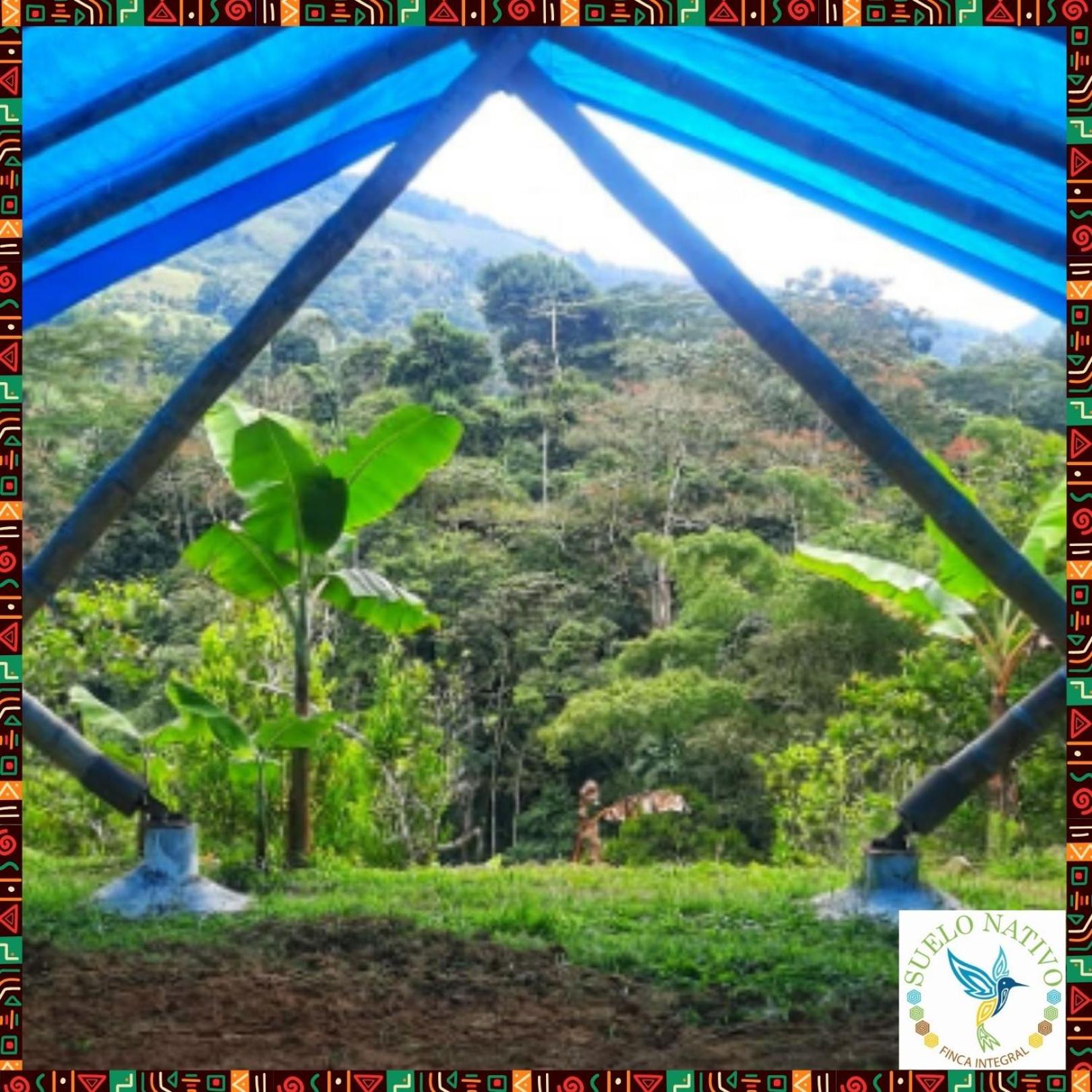 Hotel Finca Integral Suelo Natiivo 