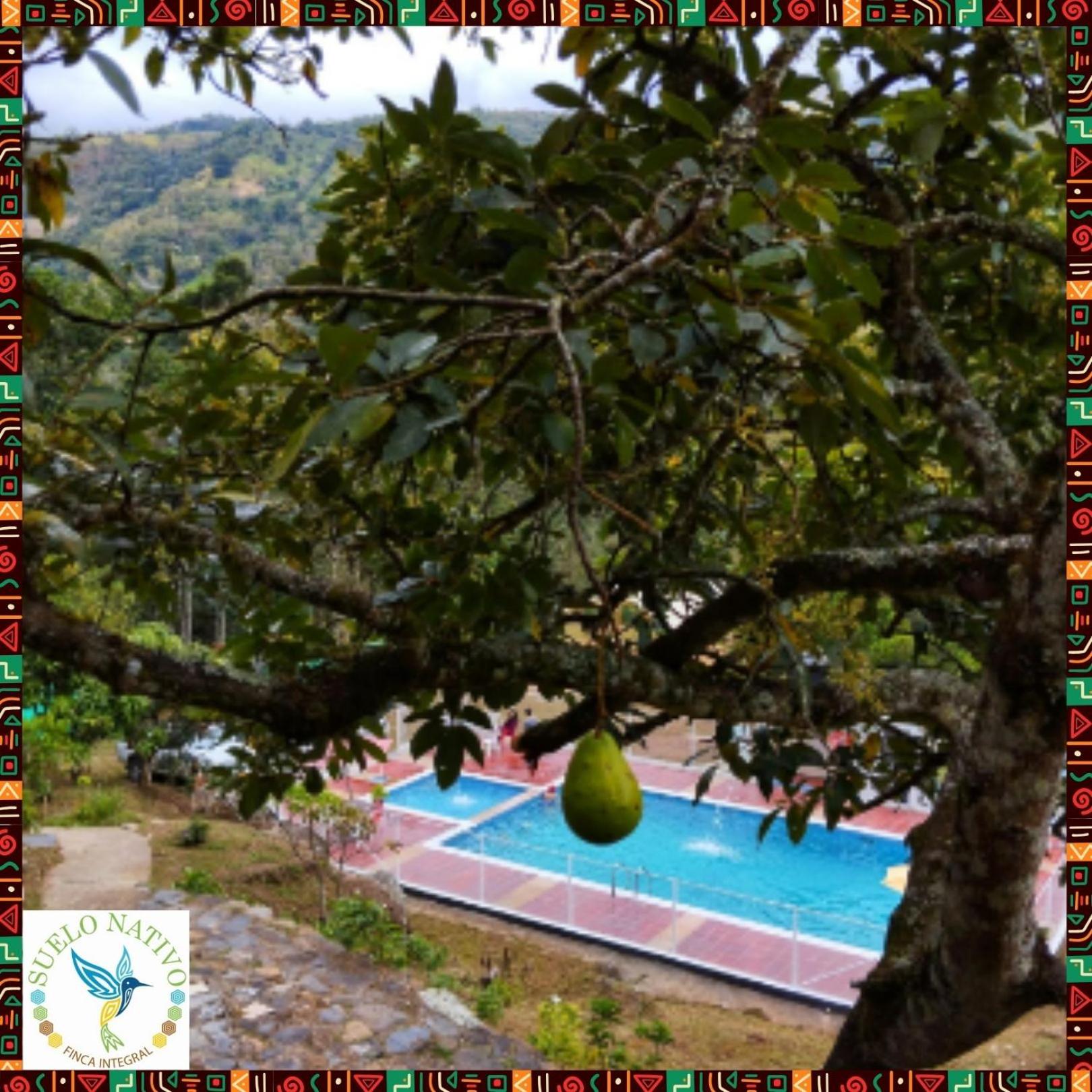 Hotel Finca Integral Suelo Natiivo 