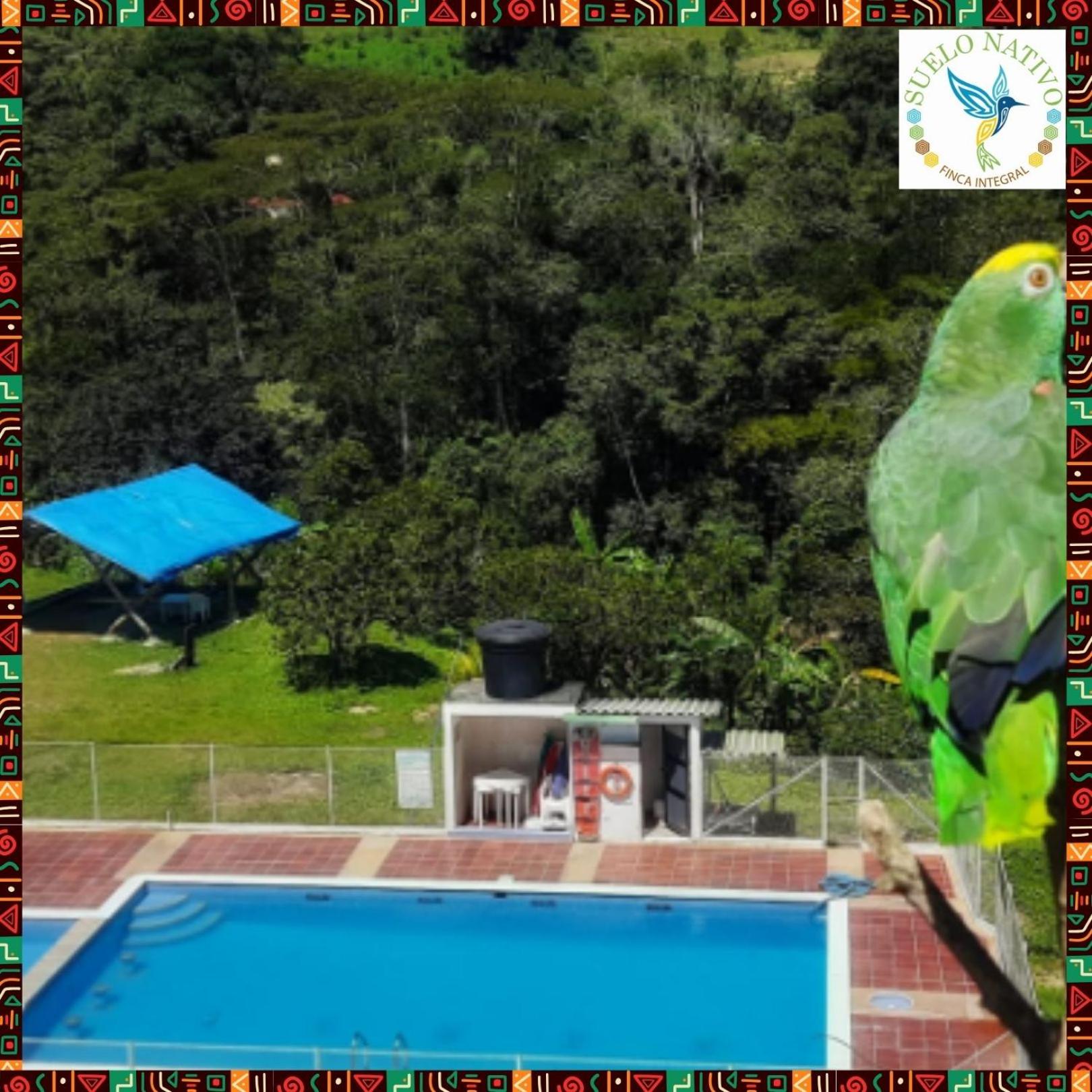 Hotel Finca Integral Suelo Natiivo 