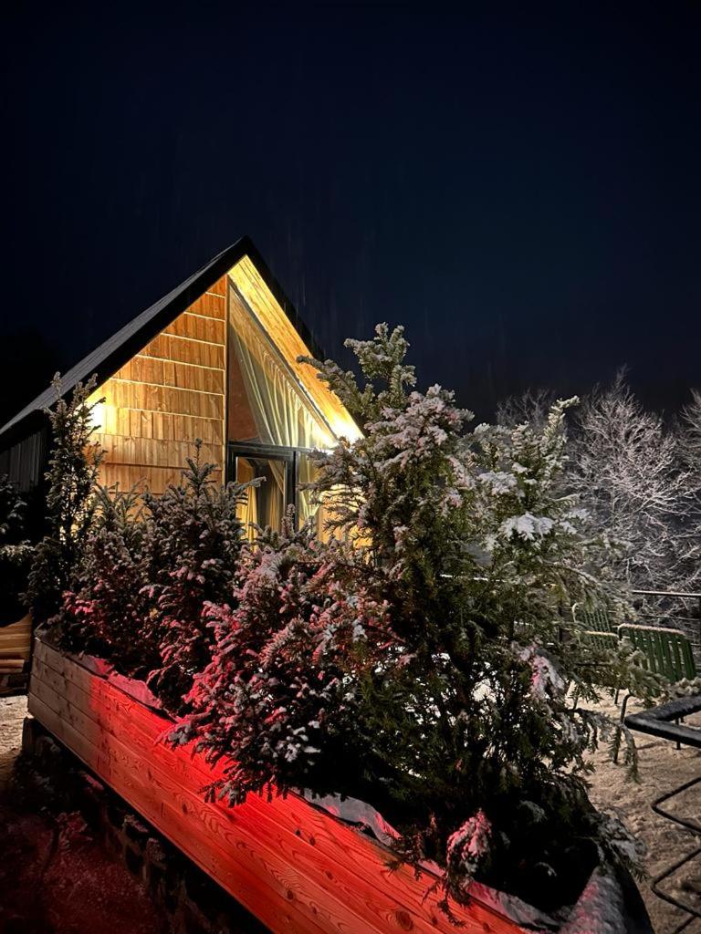 North Alpine Villas