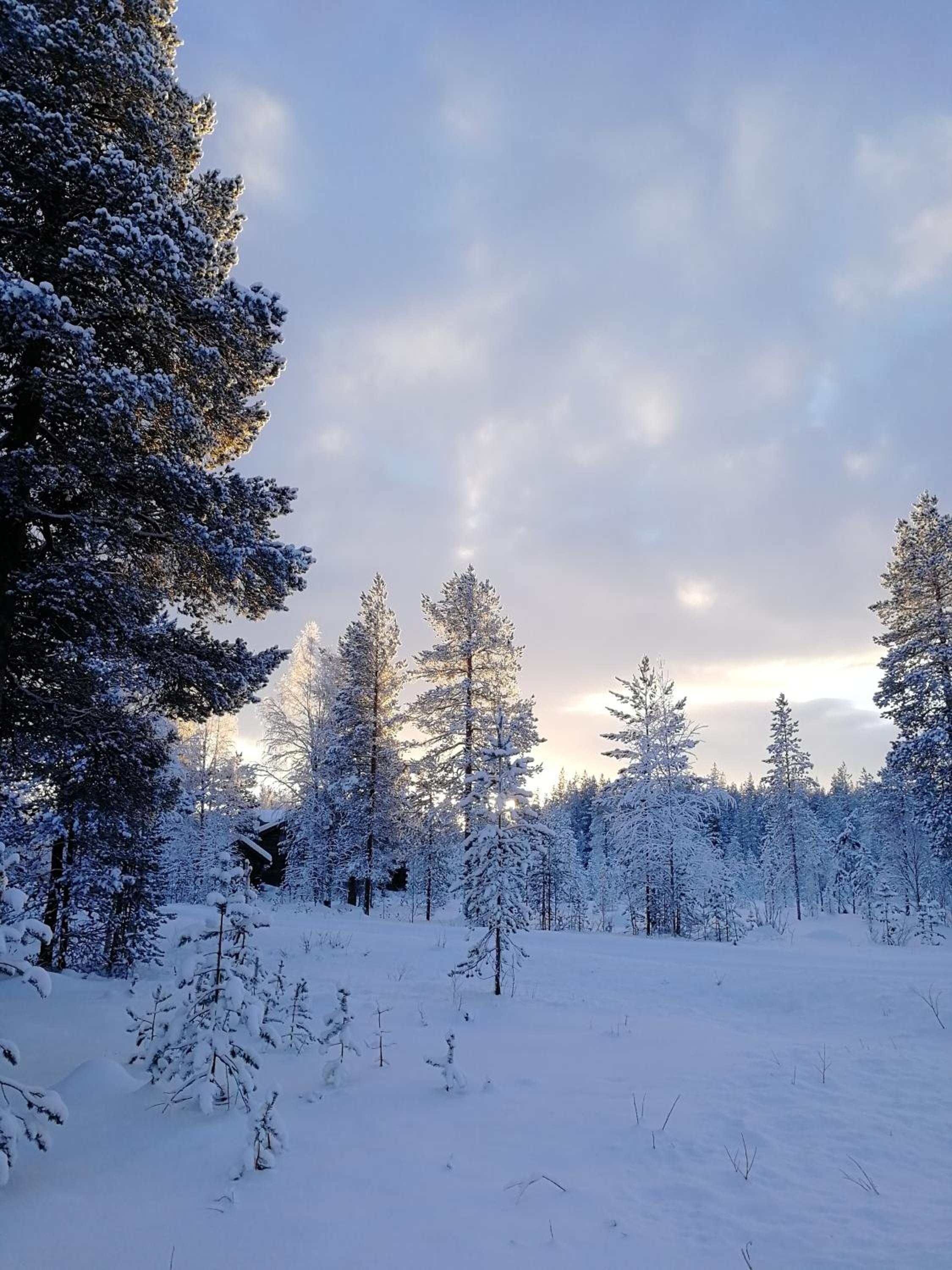 Villa Havu holiday home in Pyhä/Lapland