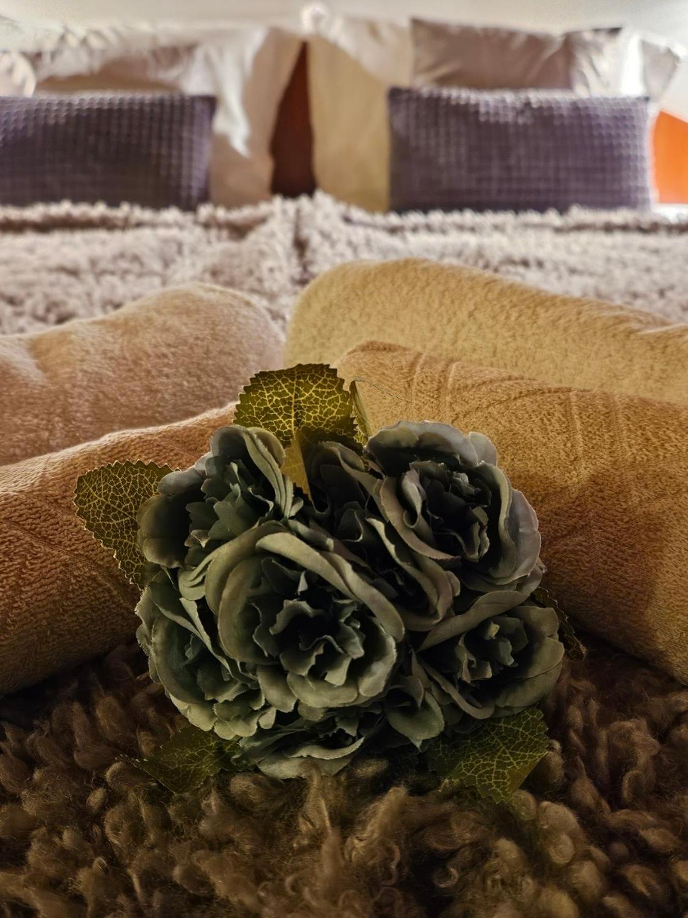 Guest House Karov - 2 Stars