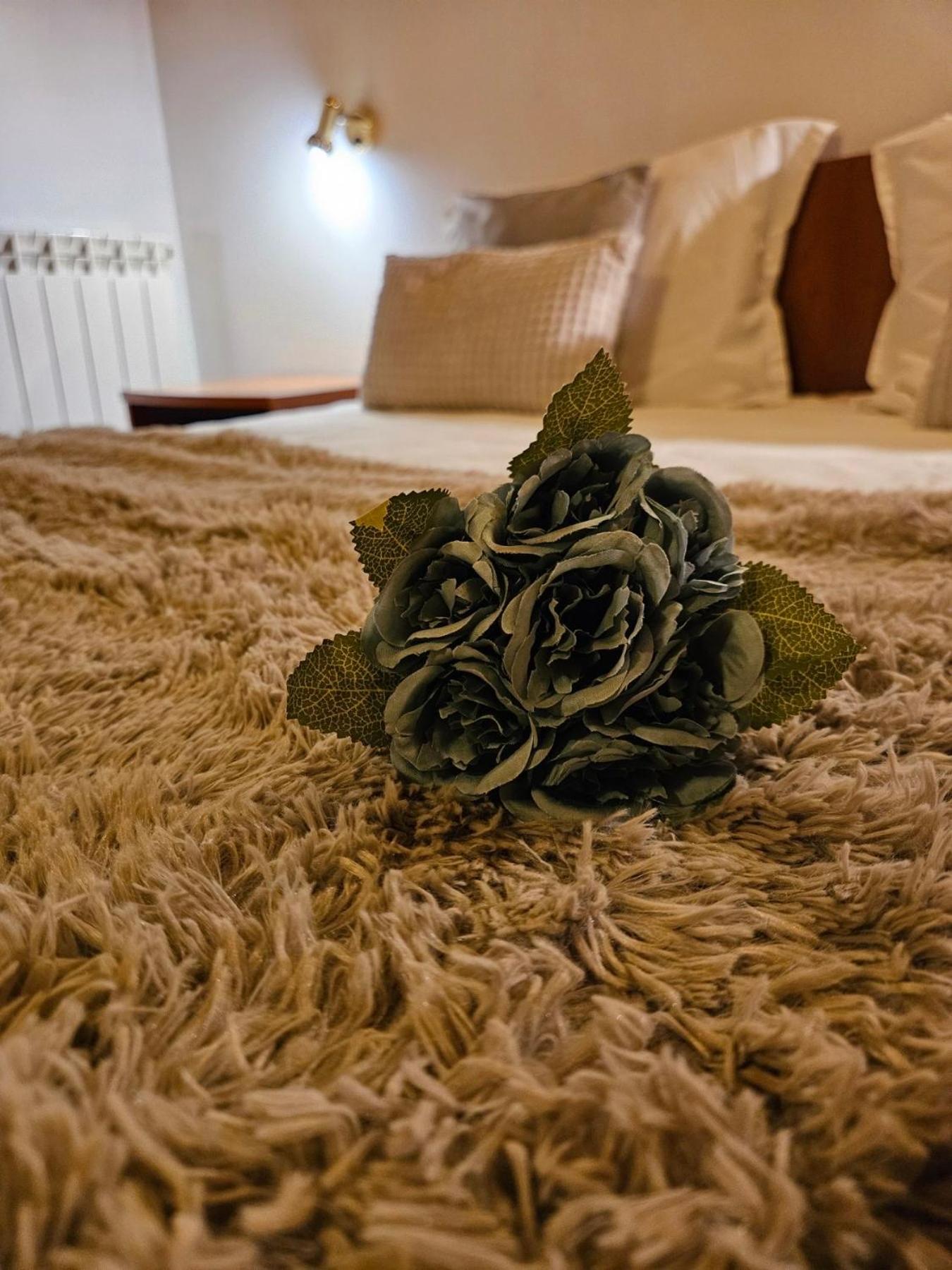 Guest House Karov - 2 Stars