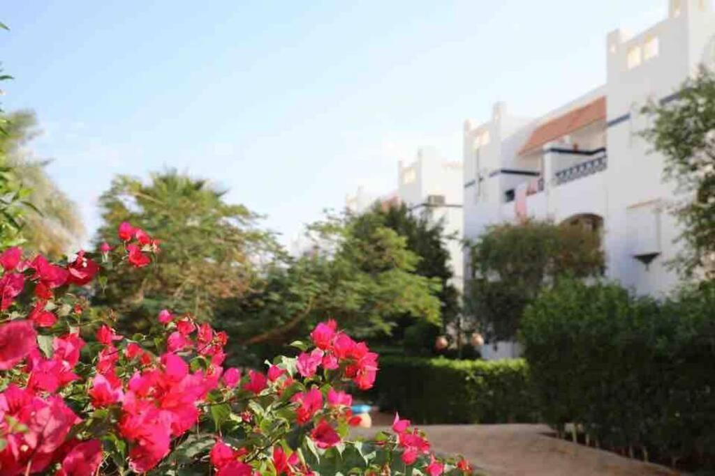 Rivera Resort Flat - Pool View & Free WiFi