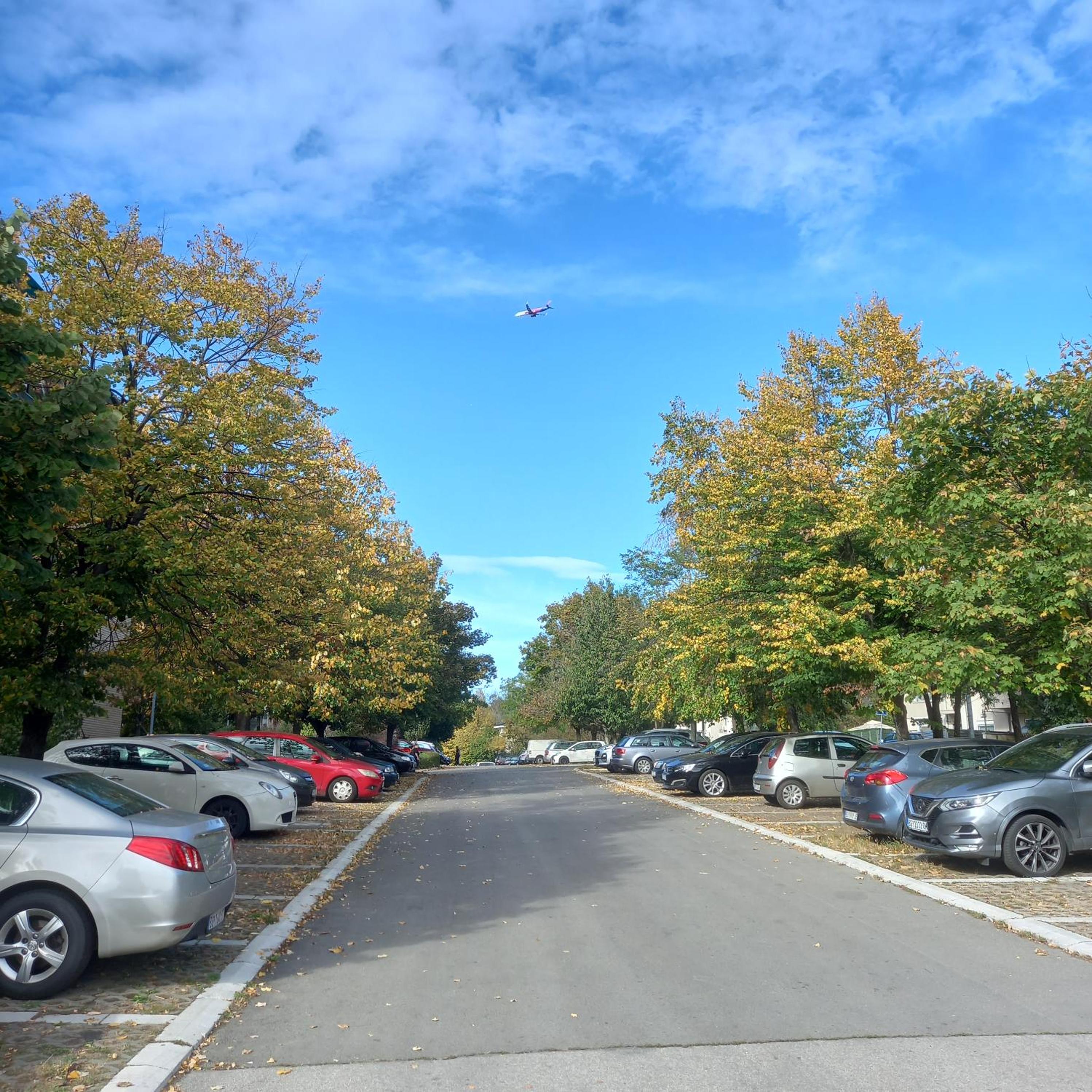 RIVIJERA GREEN