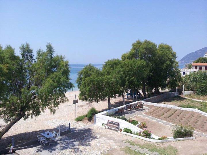 Photo 41