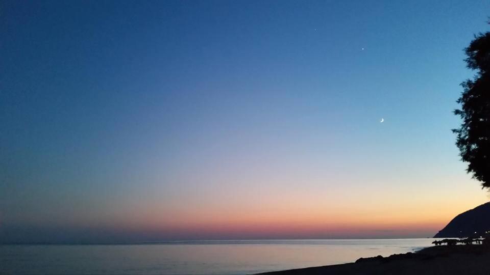 Photo 45