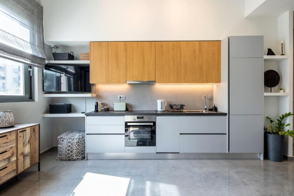 Luxury Loft Apartment &Rooftop with Acropolis View