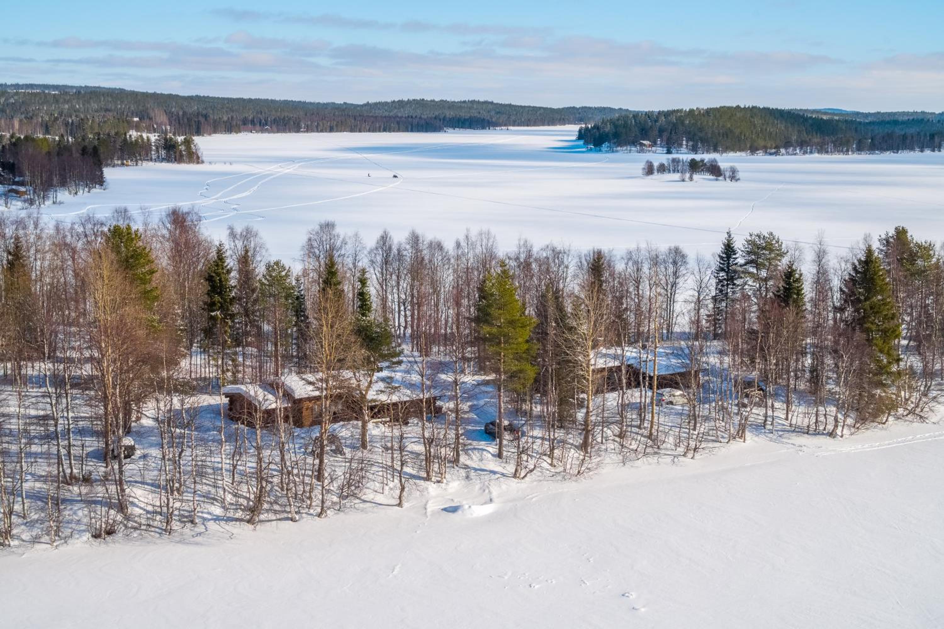 Suvituuli