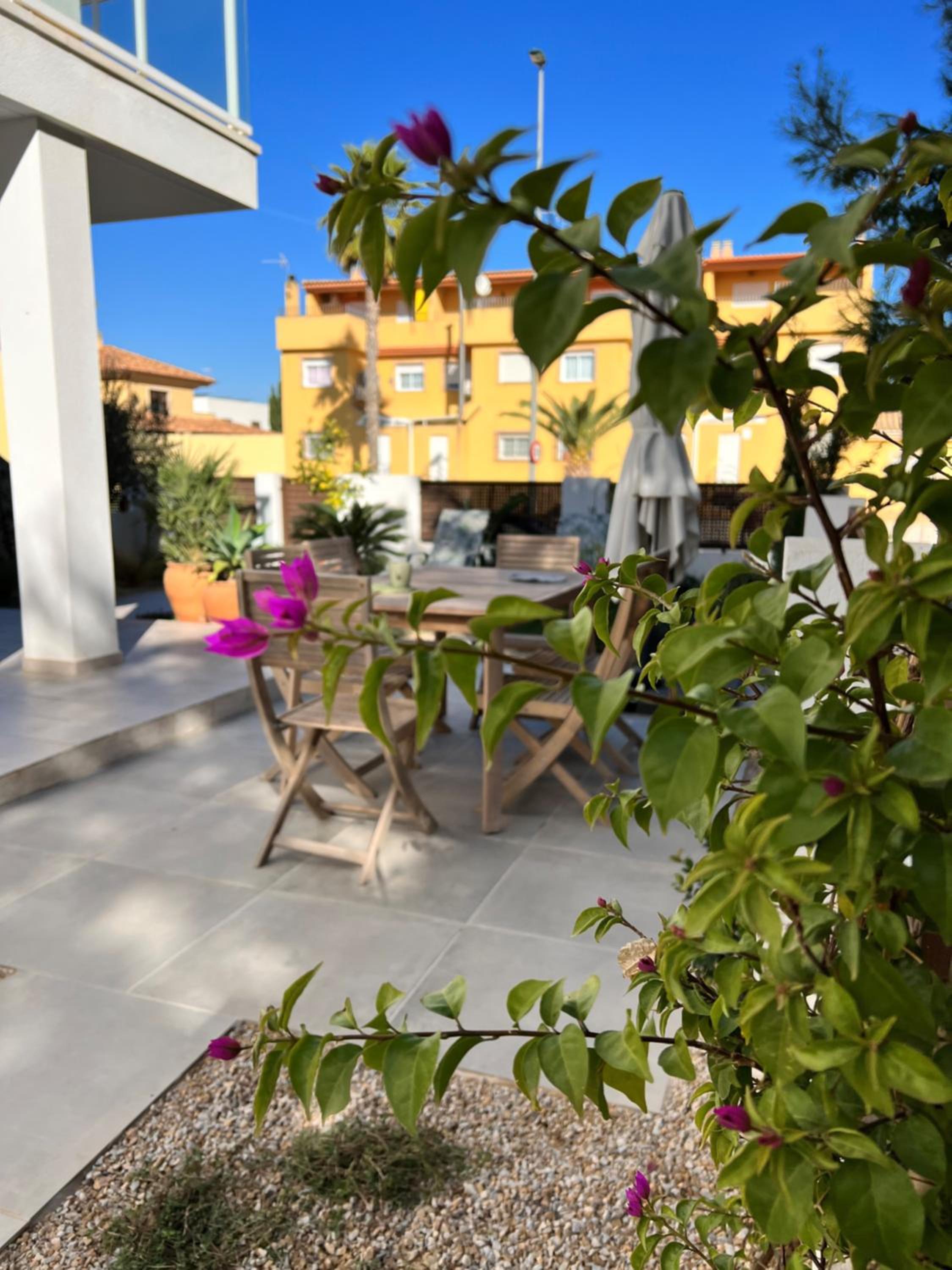 Apartment Lemon Tree
