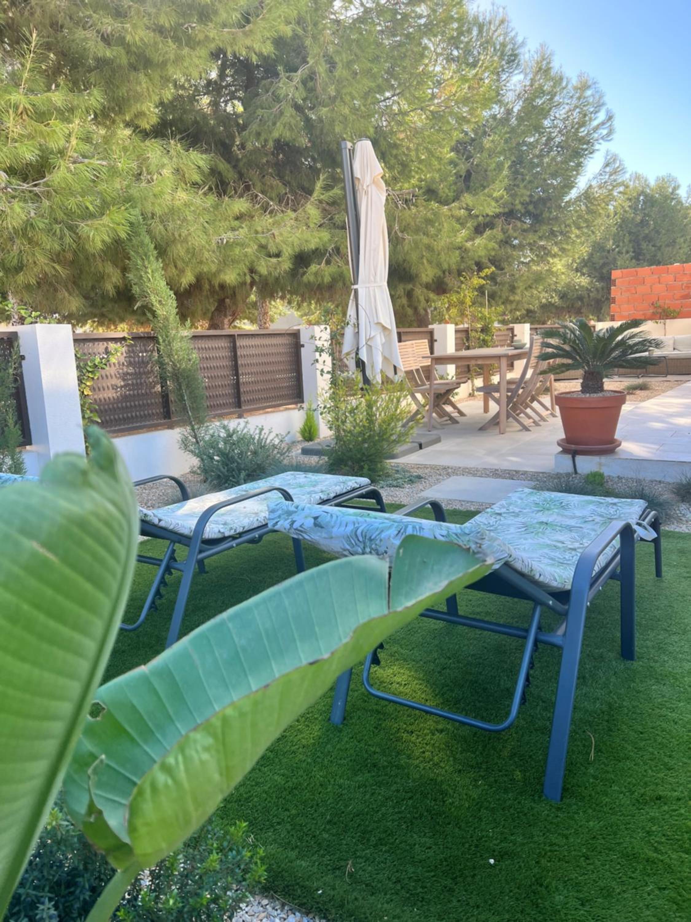 Apartment Lemon Tree