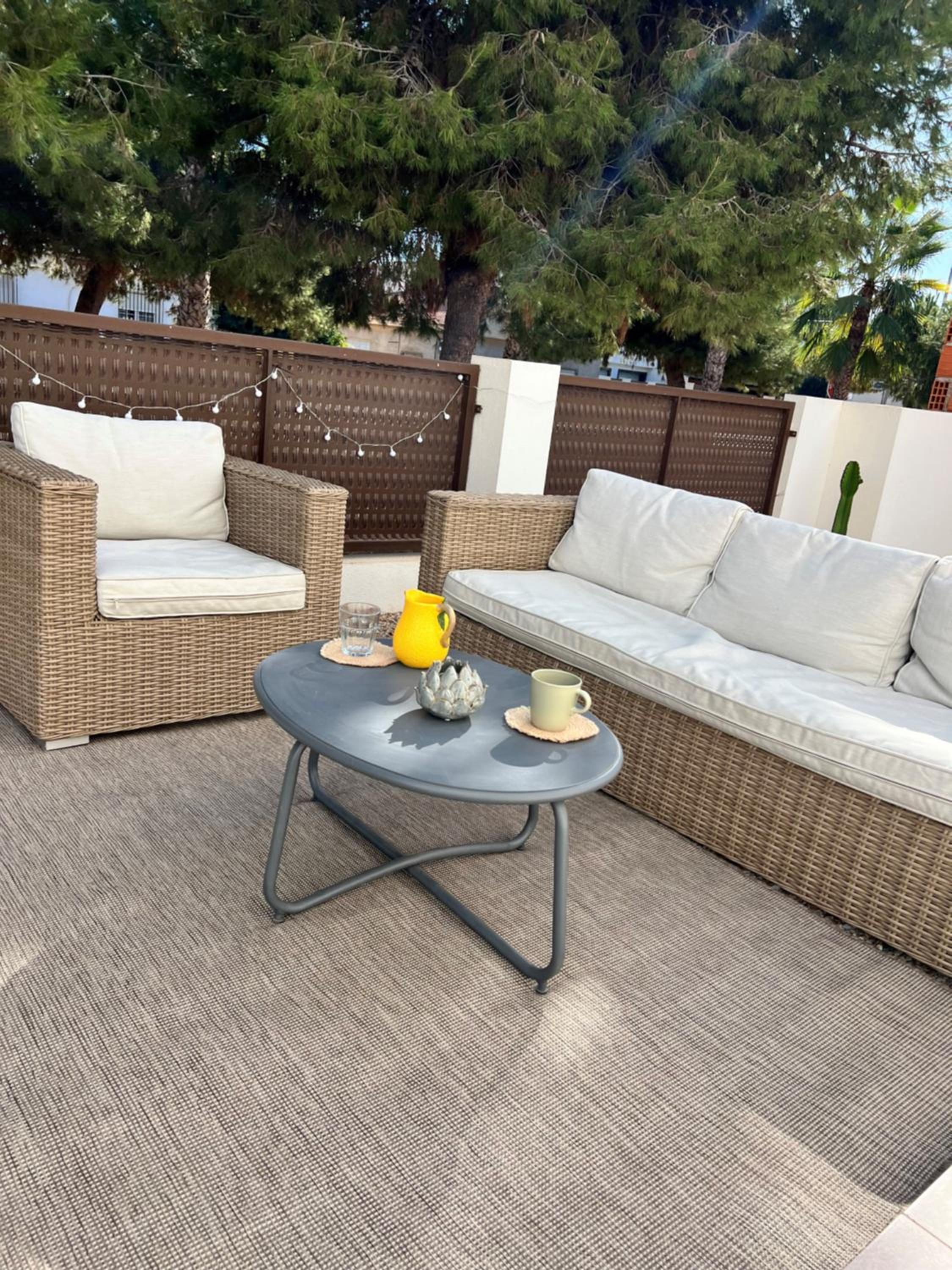 Apartment Lemon Tree