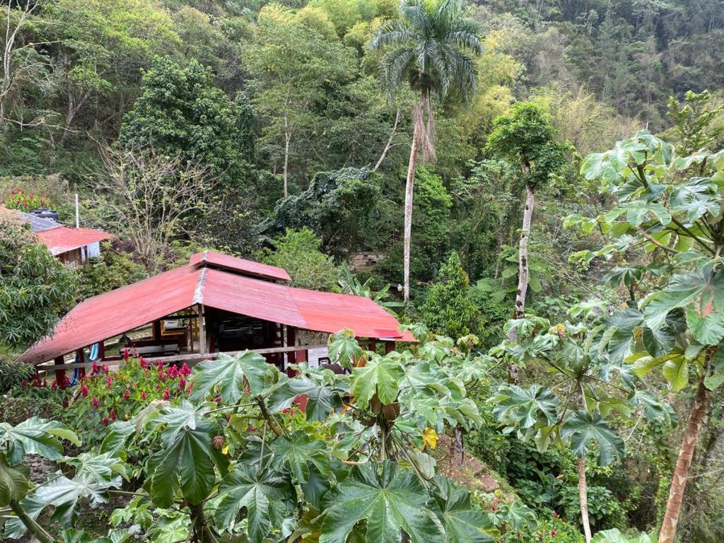 Complejo Villa Clara Junto al Río y Montañas by drvacationsrental