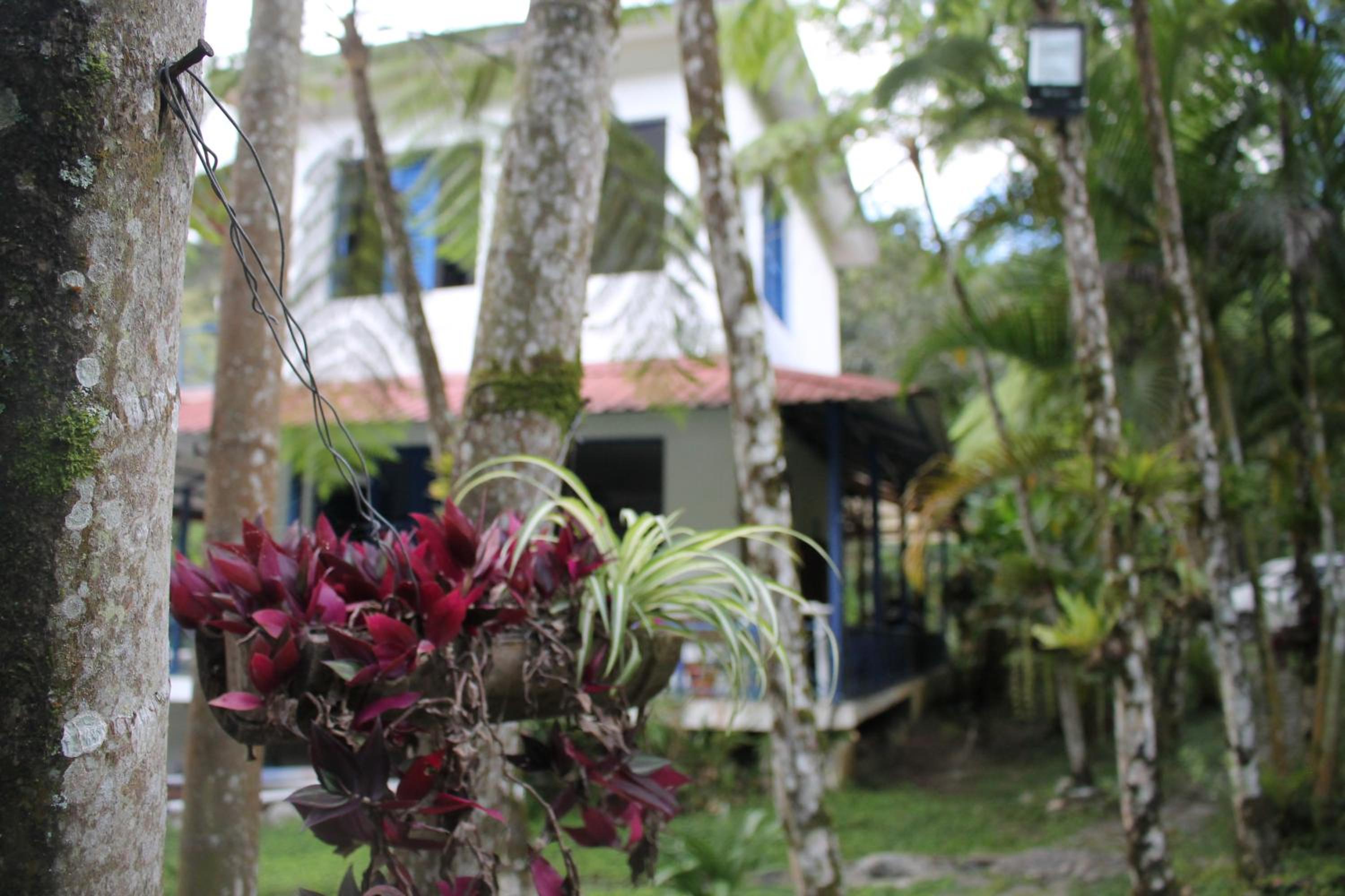 Complejo Villa Clara Junto al Río y Montañas by drvacationsrental
