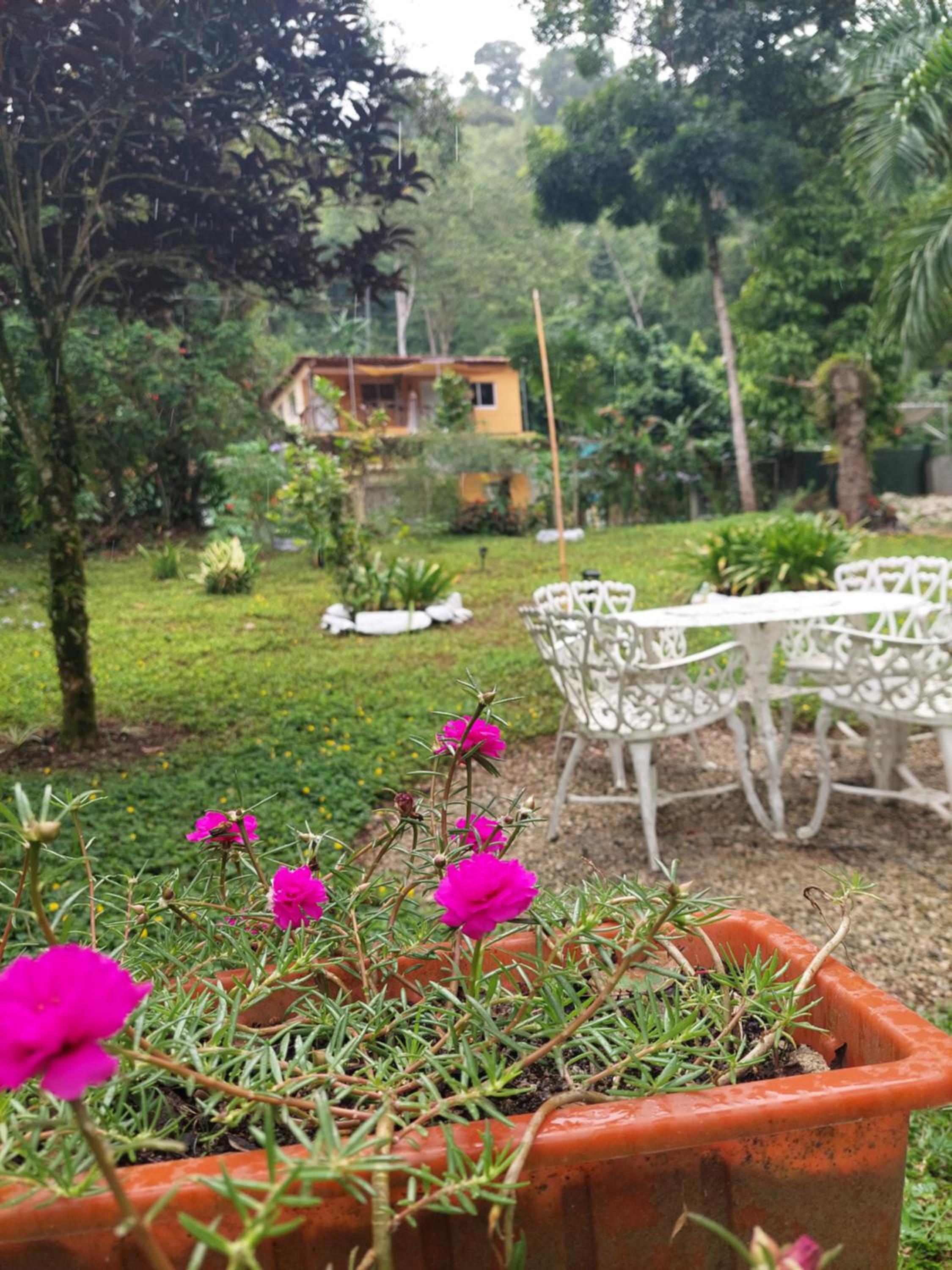 Complejo Villa Clara Junto al Río y Montañas by drvacationsrental