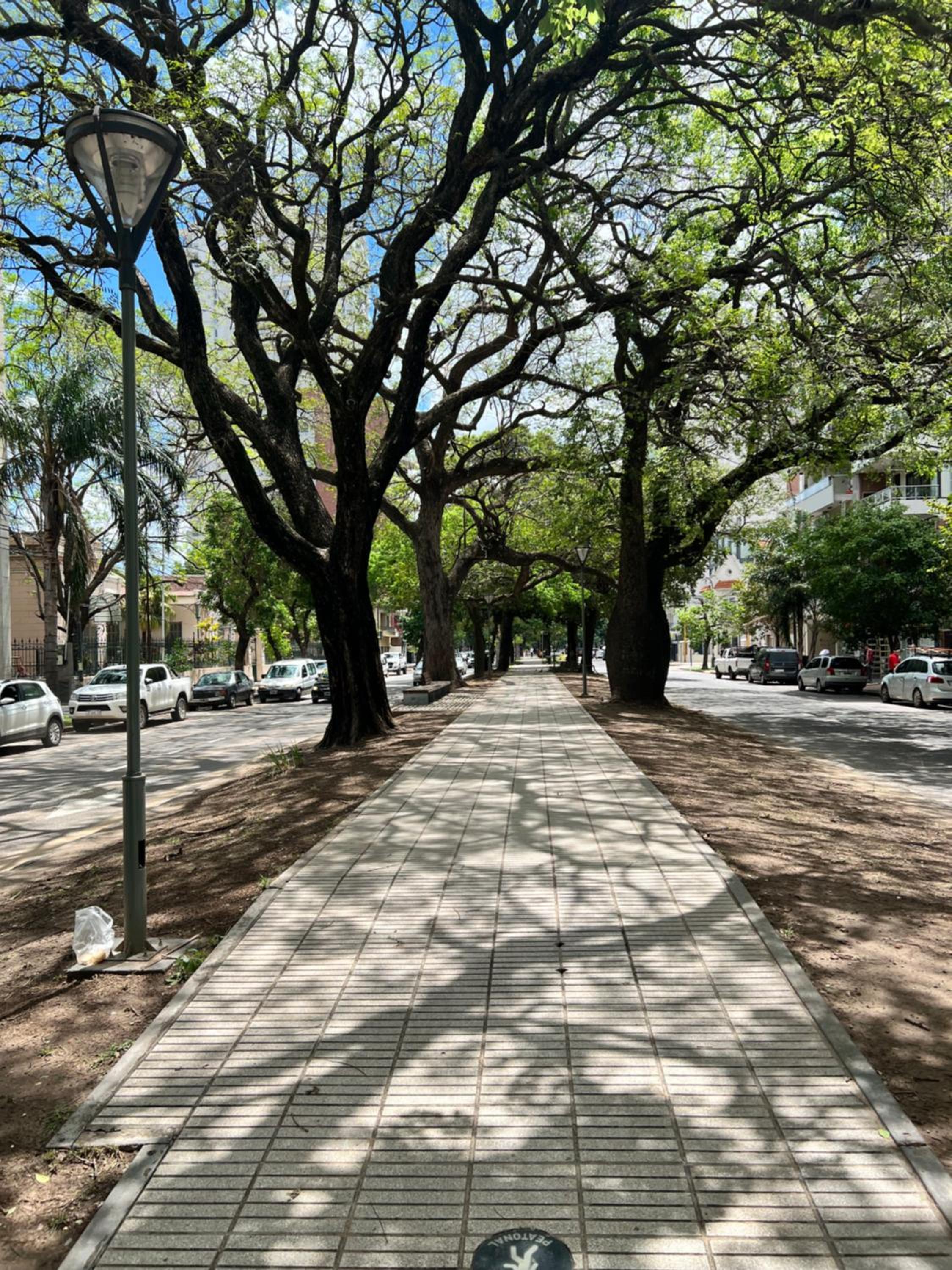 Hermoso Dpto sobre BV. Gálvez