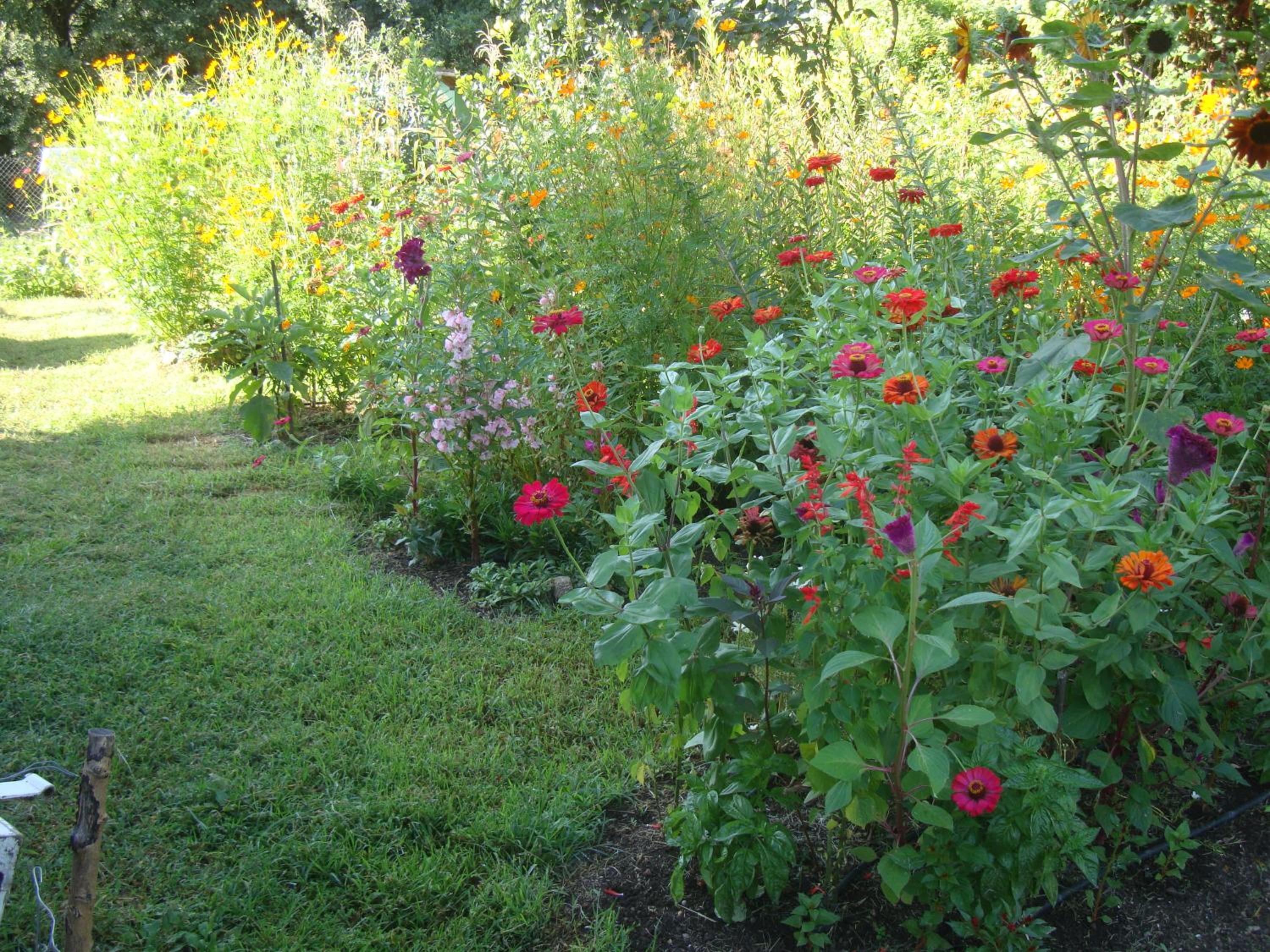 Photo 29
