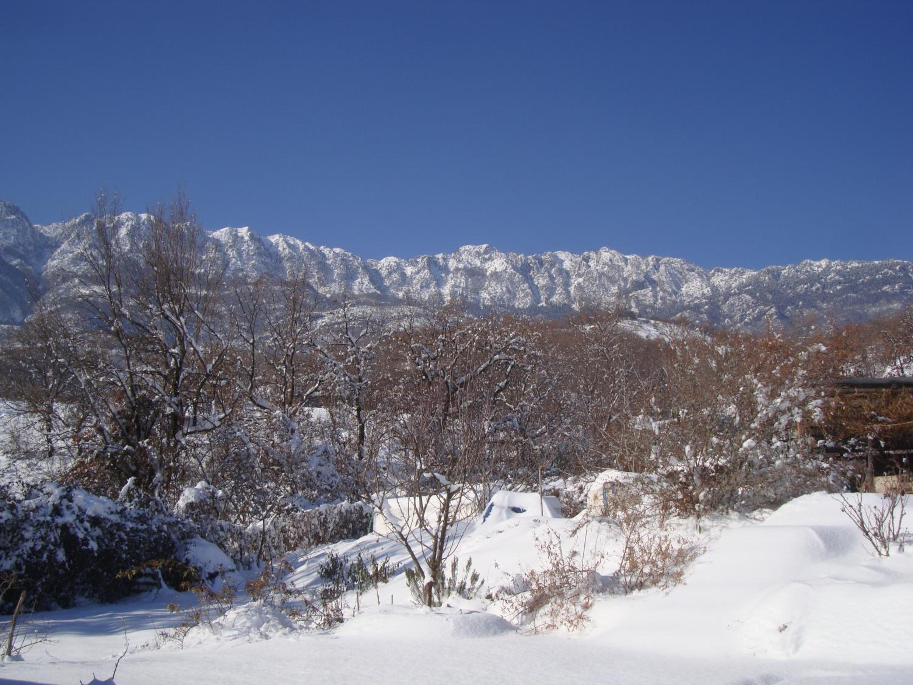 Photo 48