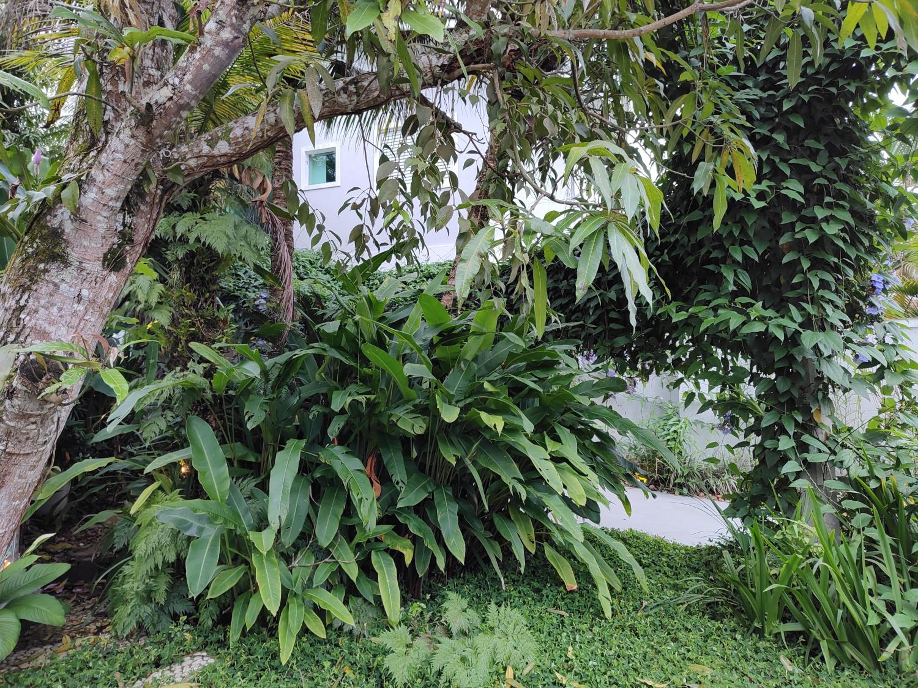 Casa ideal no Guaruja