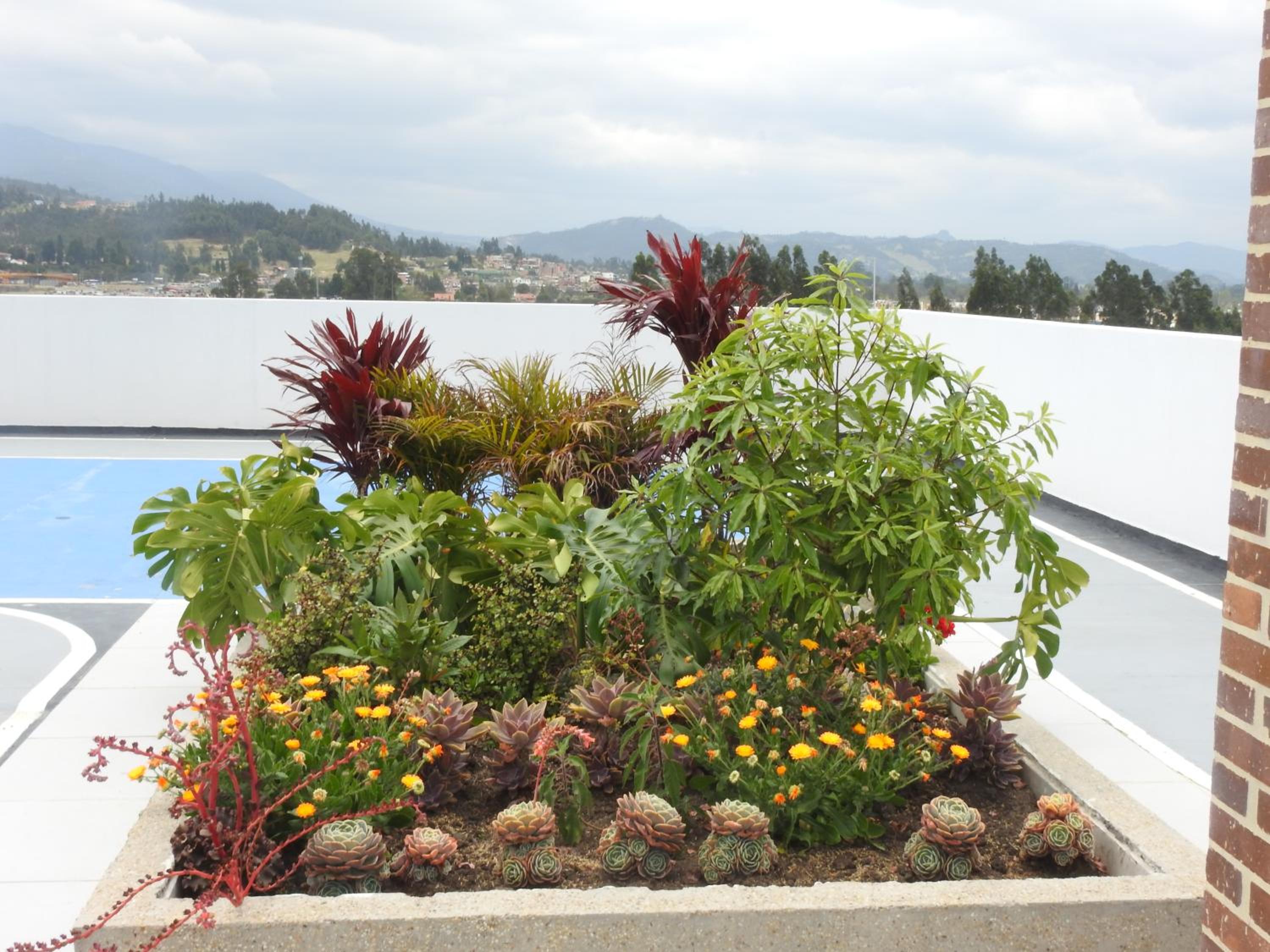 roof