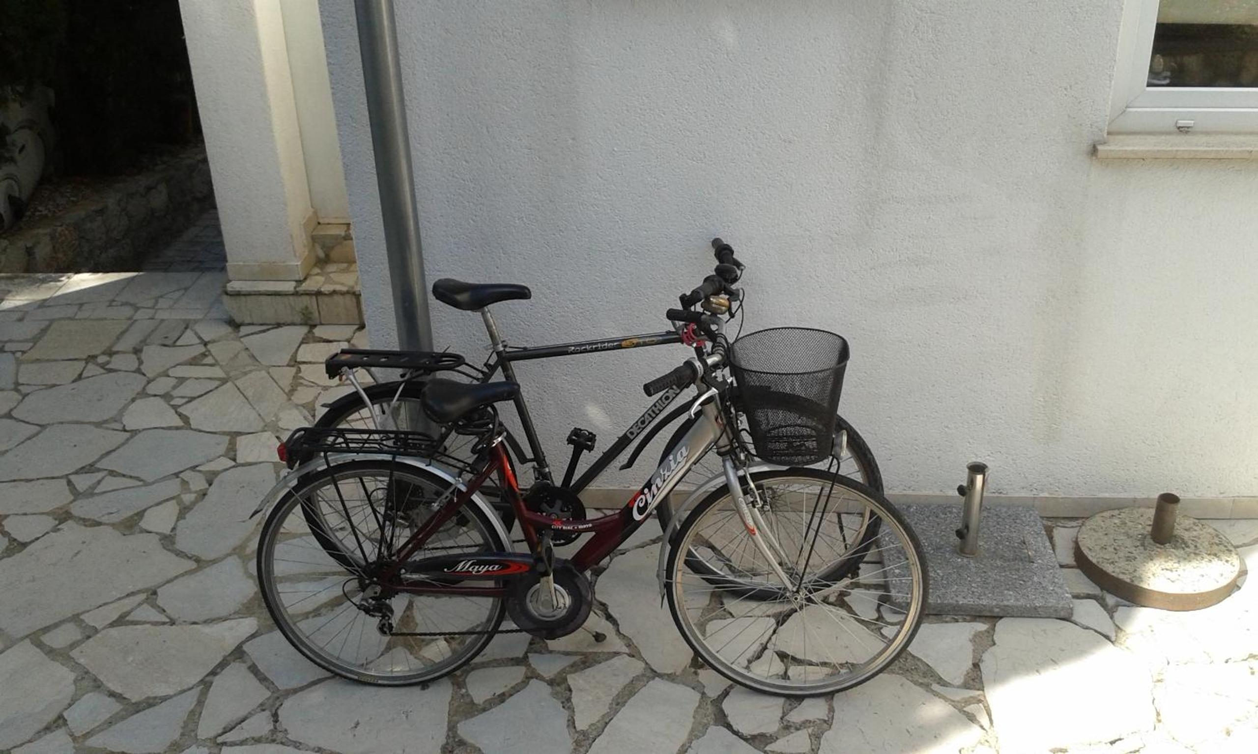 Photo 42