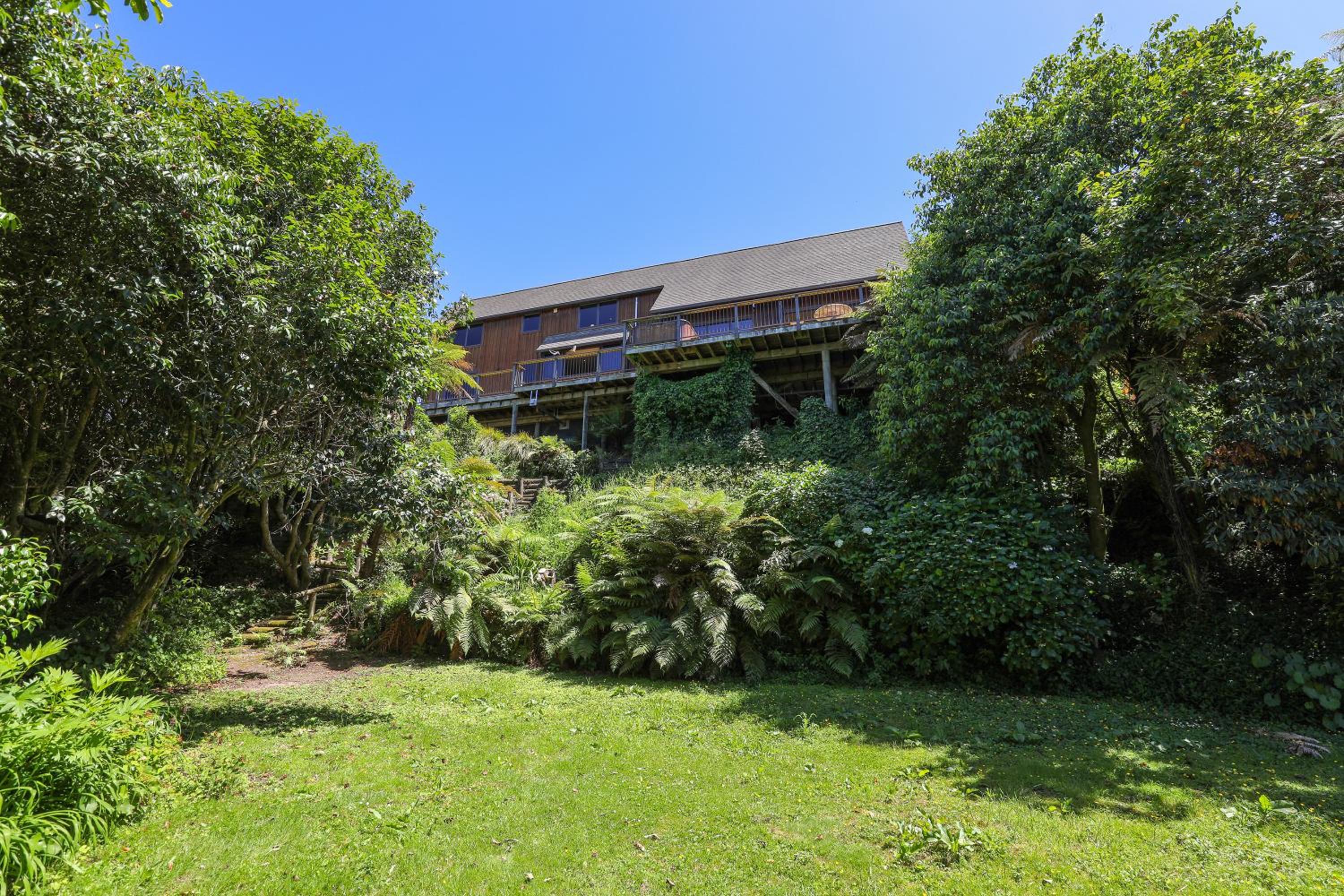 Pukeko Landing