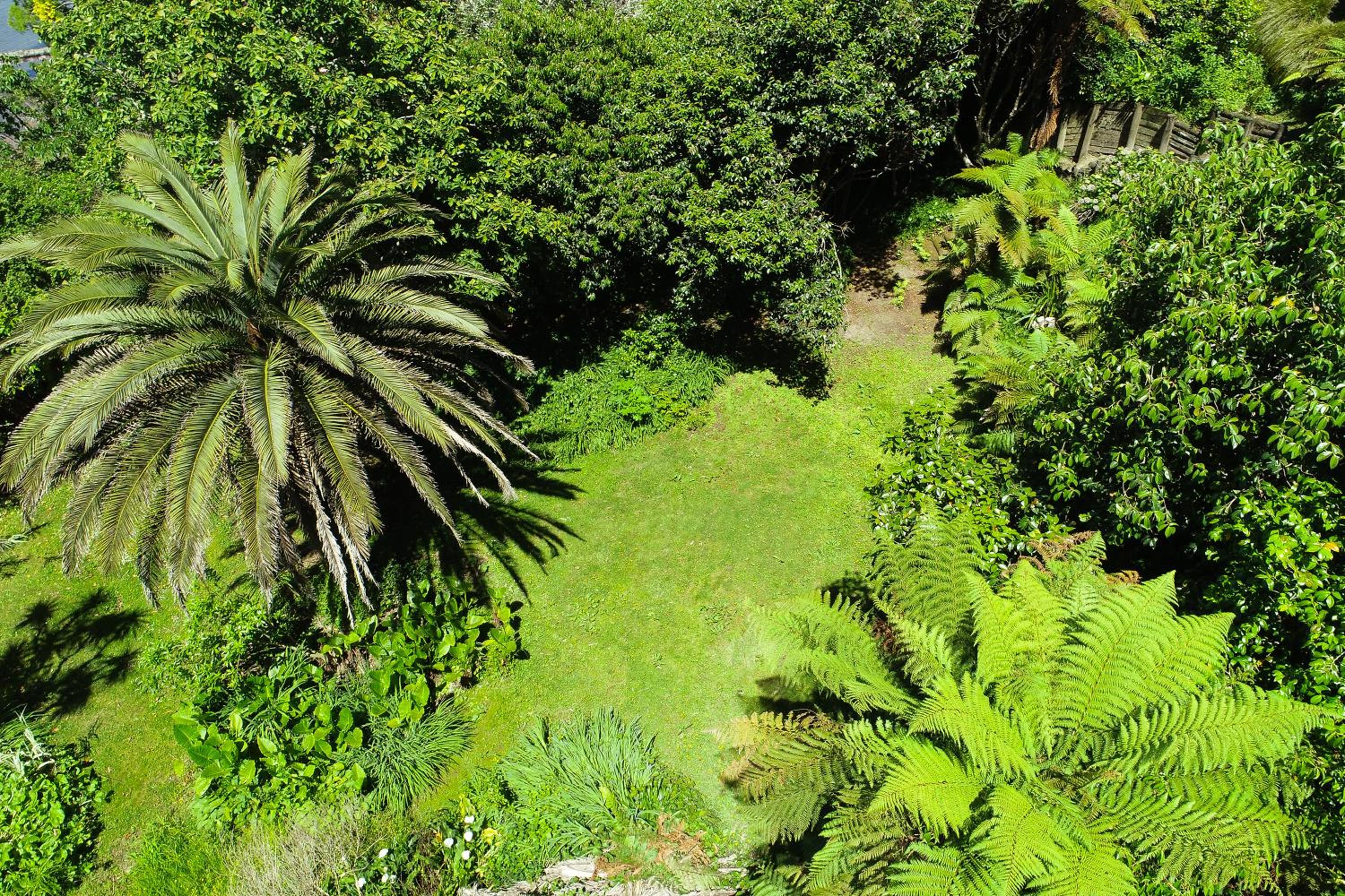 Pukeko Landing