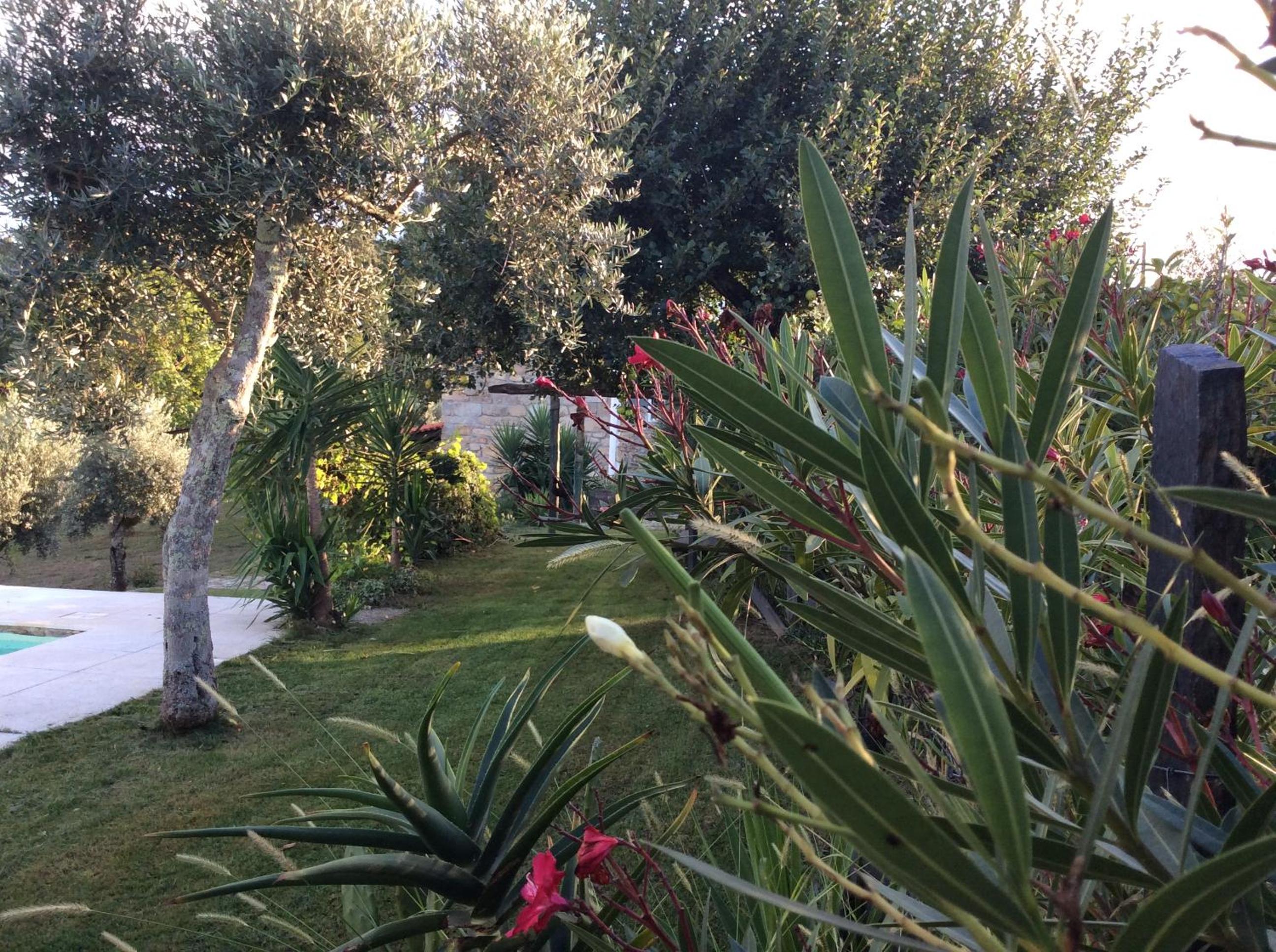 Photo 26