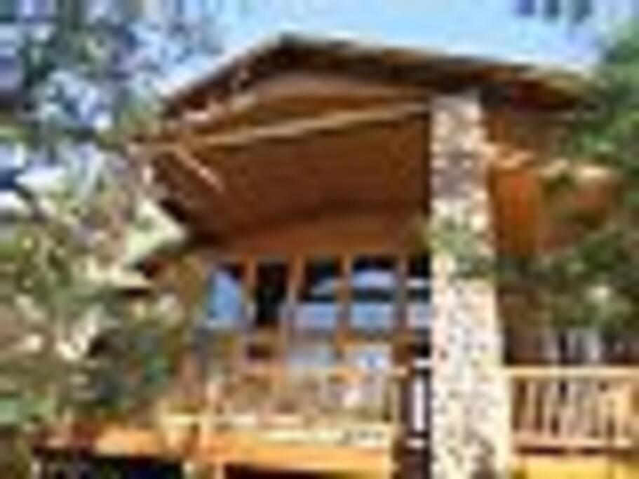 Torreon Family Cabin Large Decks and Open Floorplan view 5