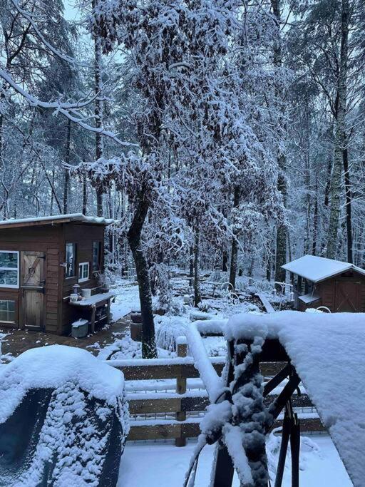 Beautiful & peaceful cabin w/ deck garden & fire-pit view 4