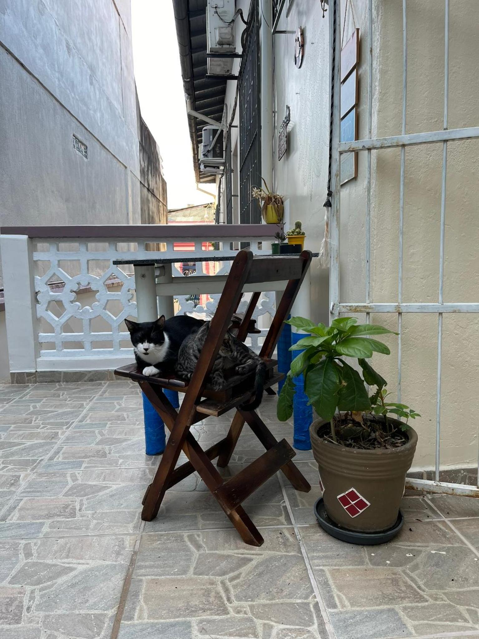 Aldeia Hostel