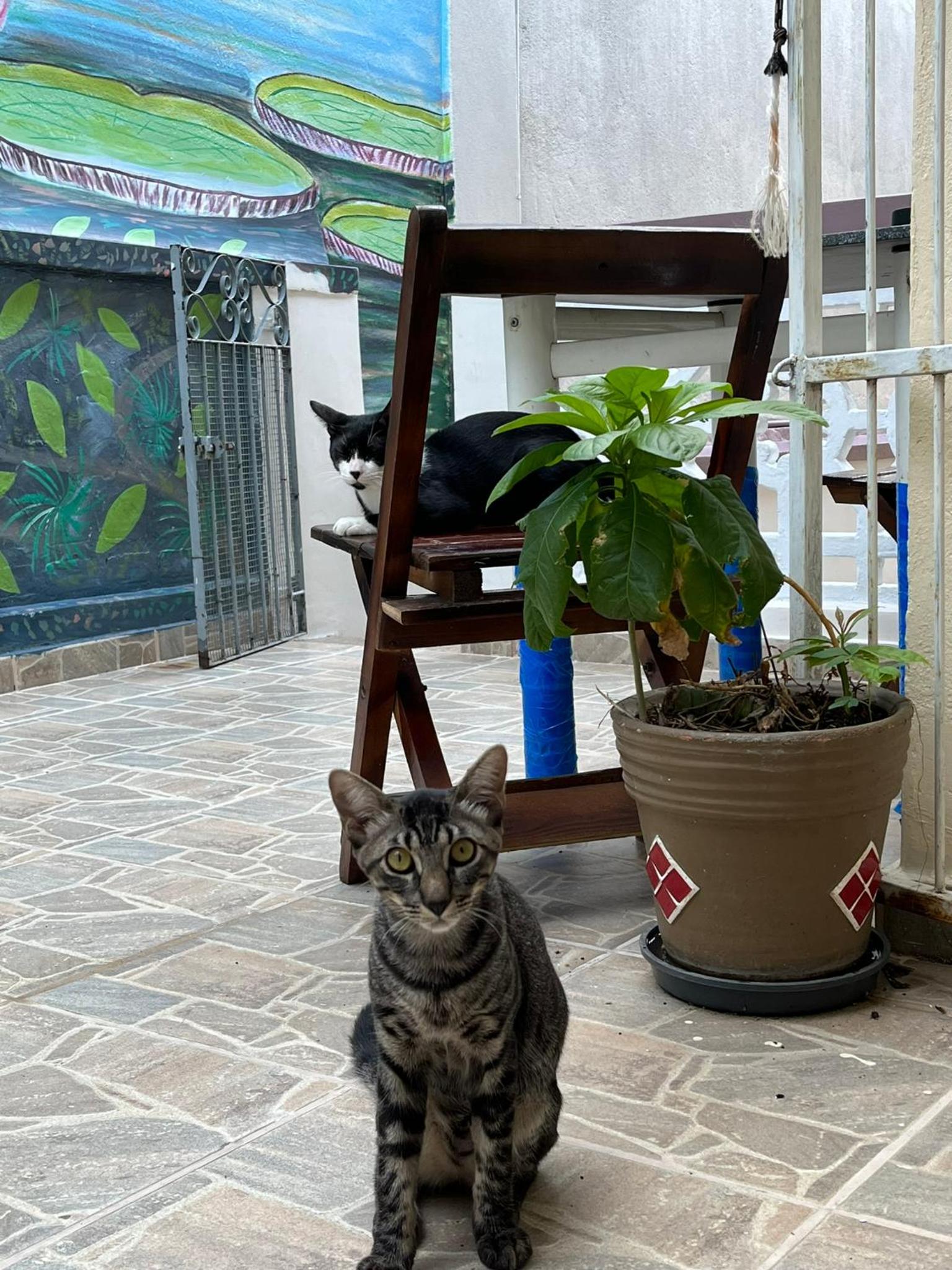 Aldeia Hostel