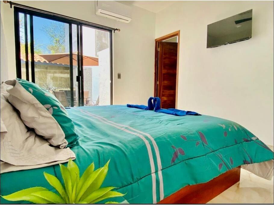 Hermosa Casa en Puerto con Alberca y Starlink