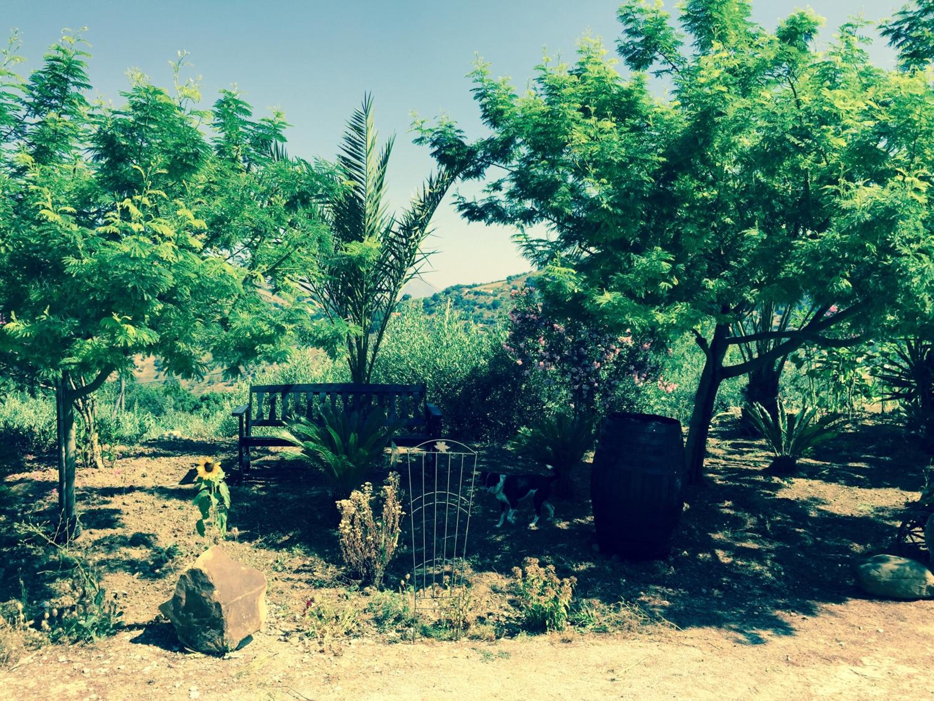 Photo 16