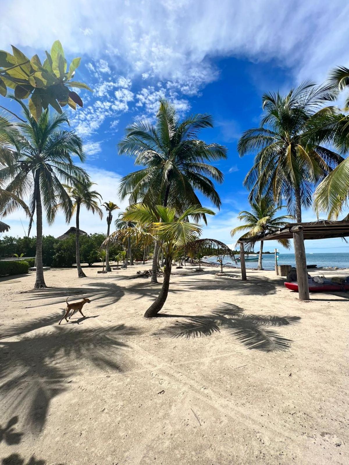 Hostel Beach House