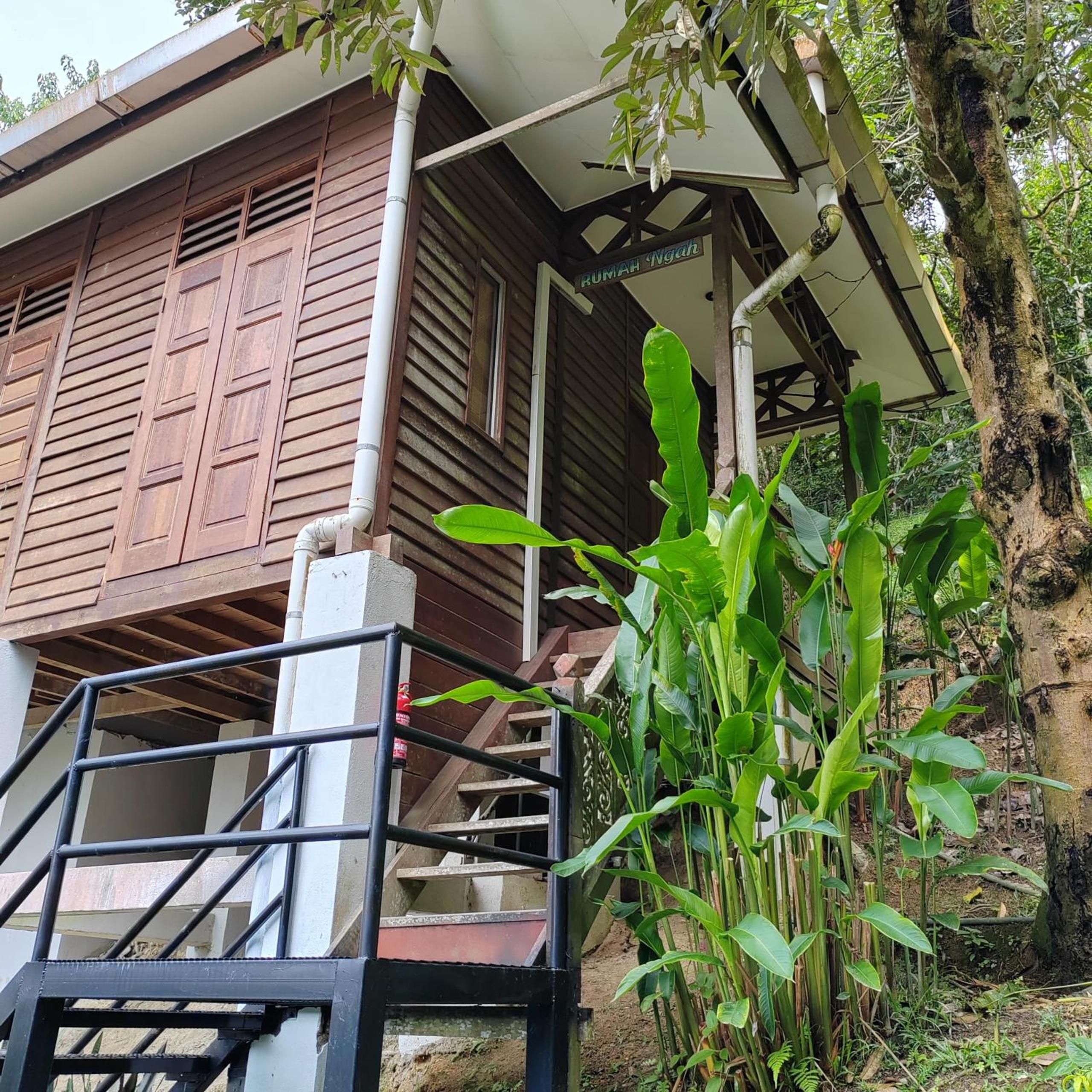 D'Bukit Forest view 5