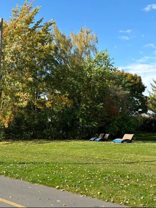 Cozy Spacious Work Friendly Lotus with Garden View High speed free Wi Fi and Parking Adjacent to Downtown Montreal