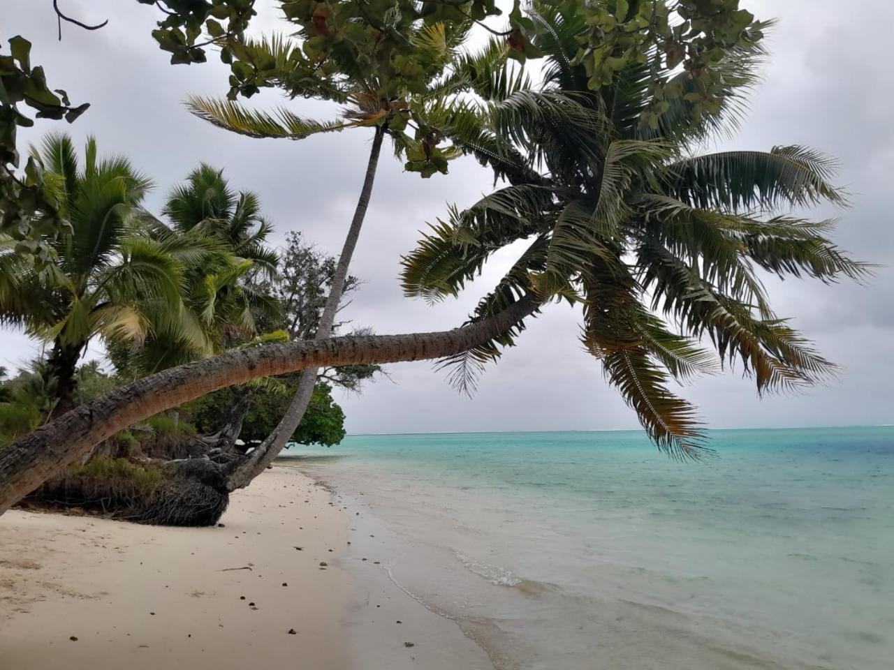 CHEZ VAIANA view 3