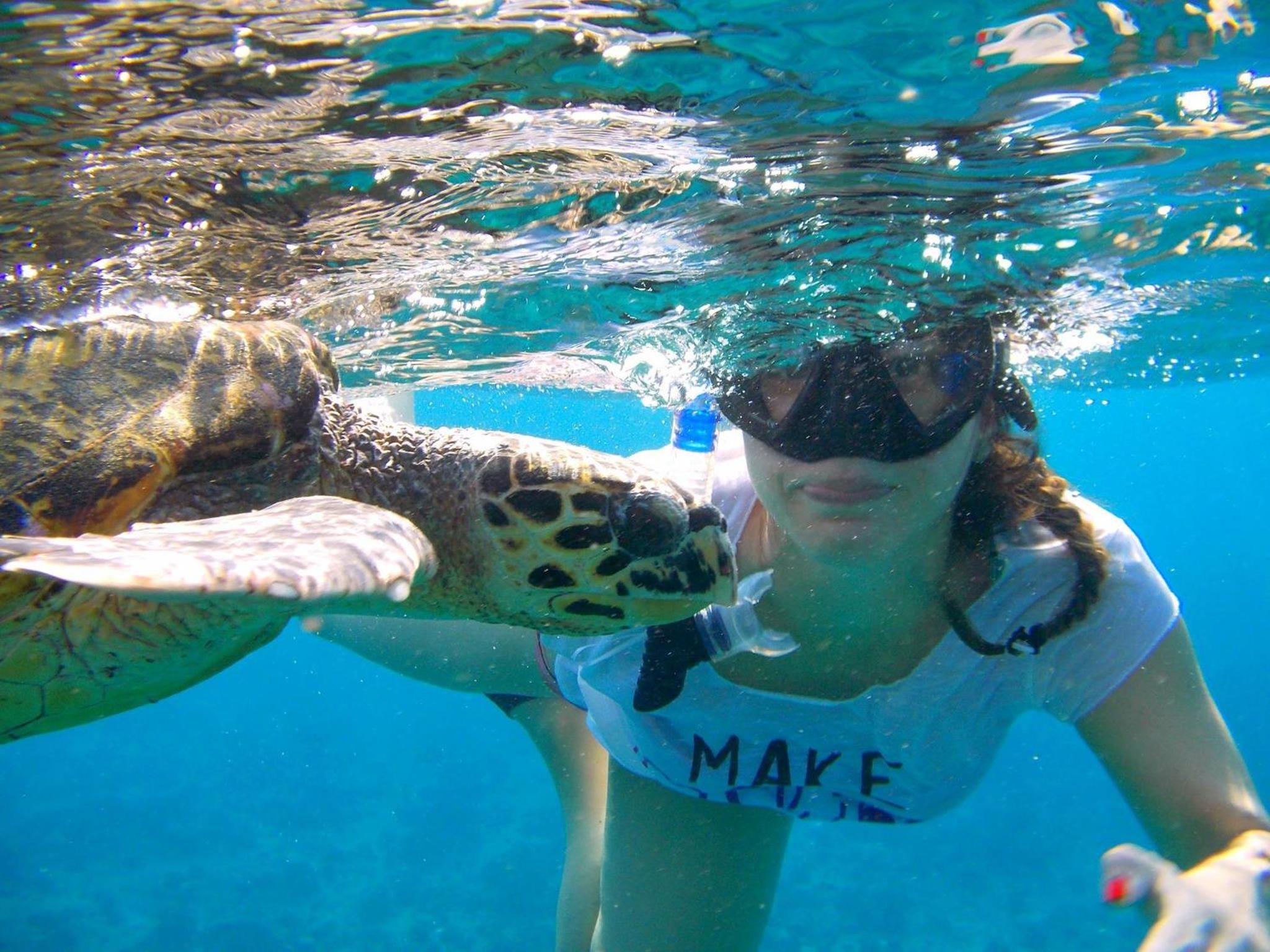 Beach Heaven Maldives - Golden Turtle Guest House