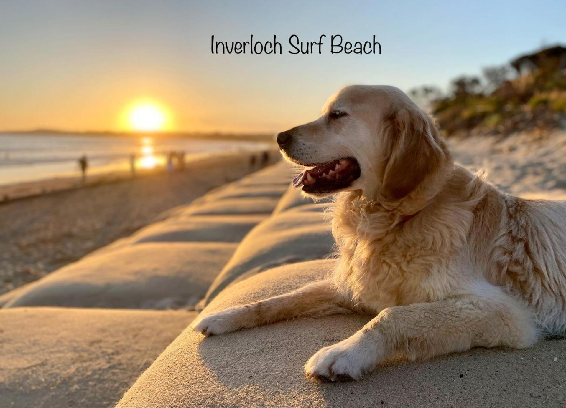 Sun Rise Escape Inverloch