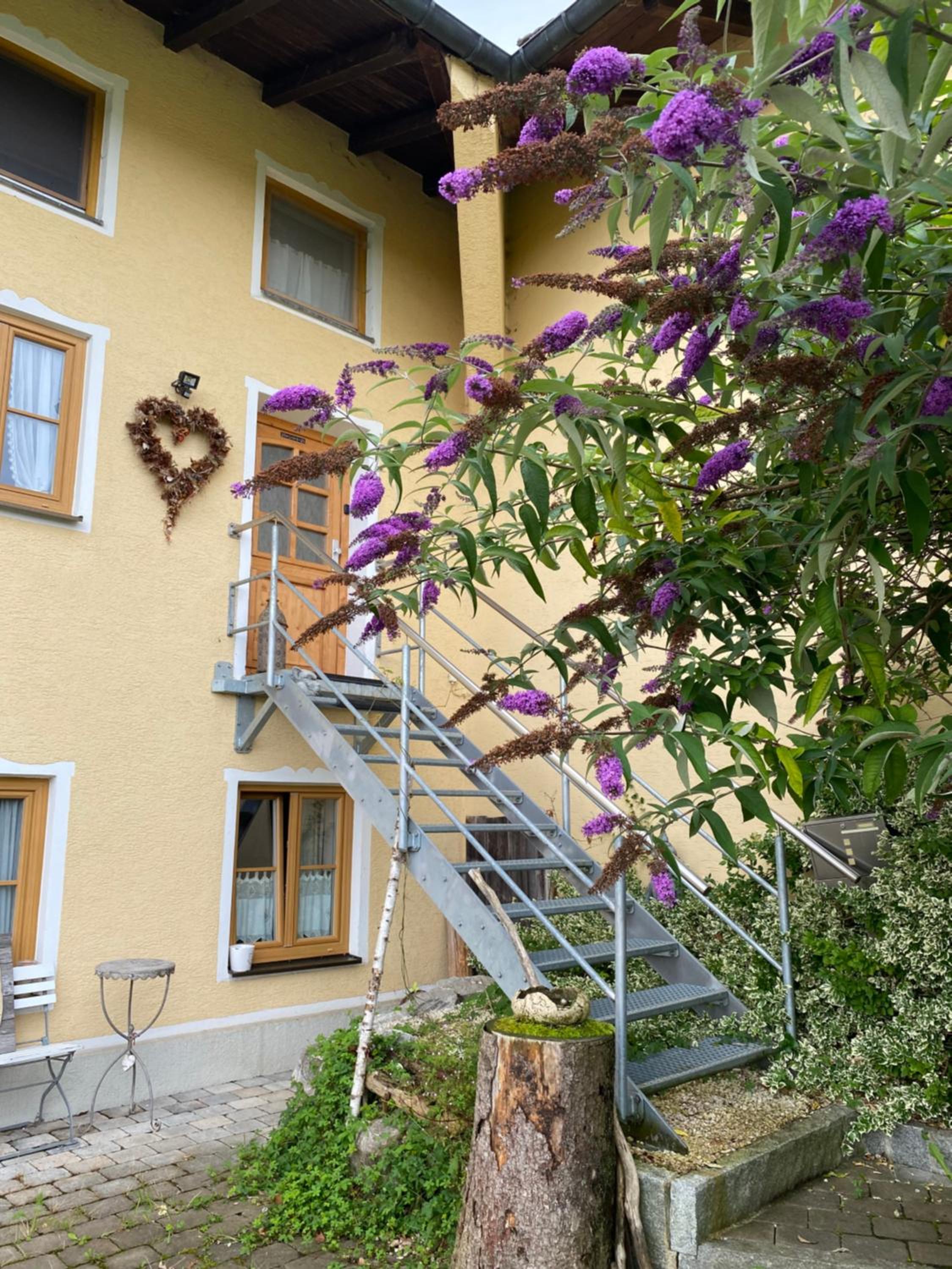 Naturhof Selbertinger