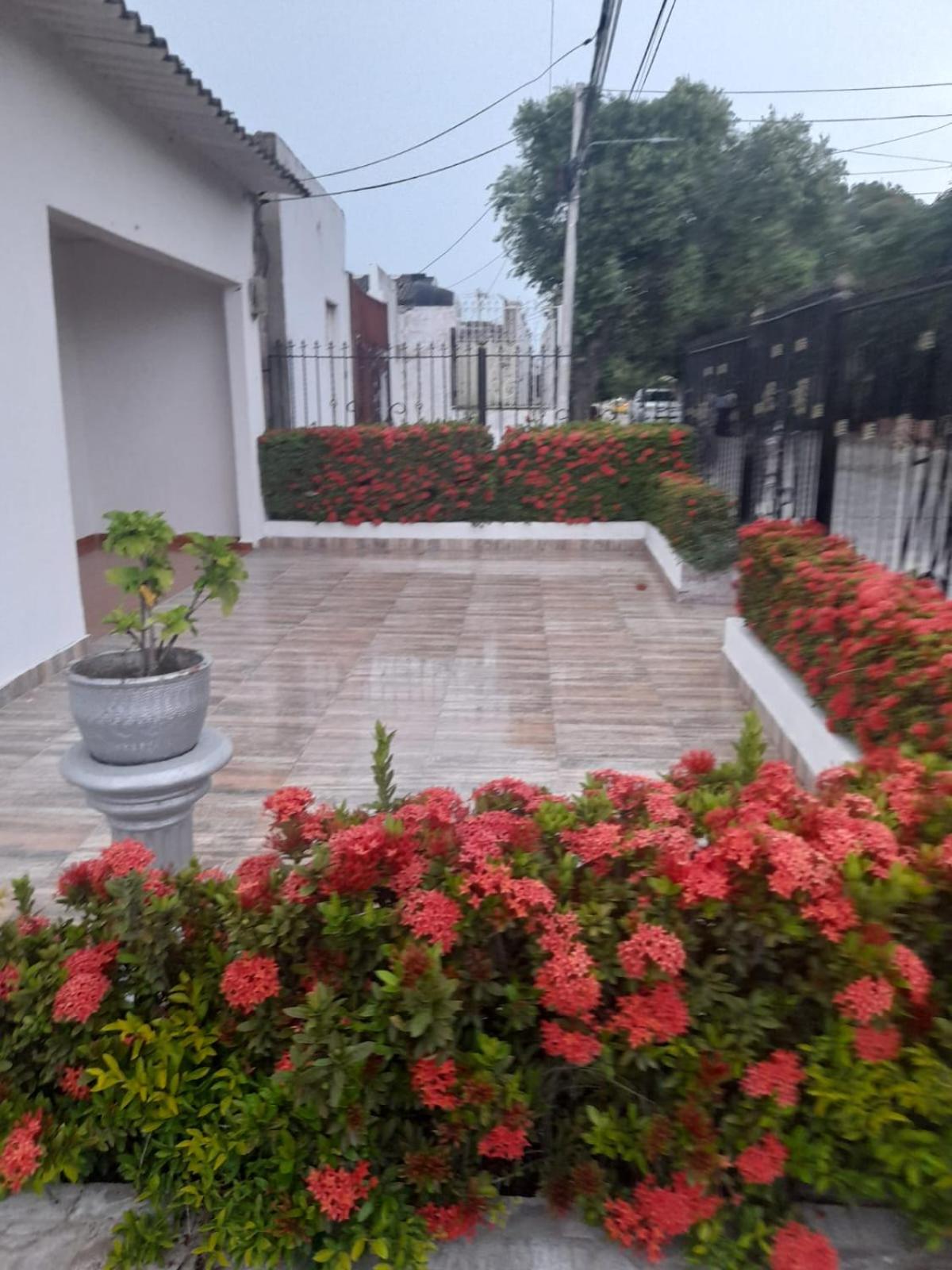 APARTA ESTUDIO PERLA ROJA